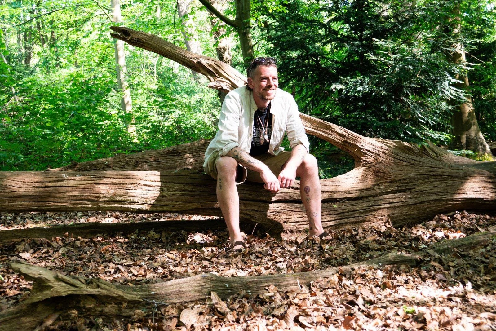 Hear Together Now: Sound &amp; Stillness