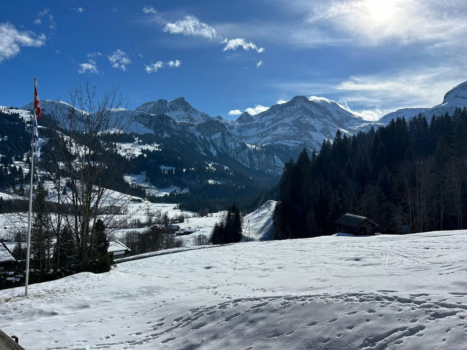 WhatsApp Image 2026-04-28 at 15.07.04 (2).jpeg