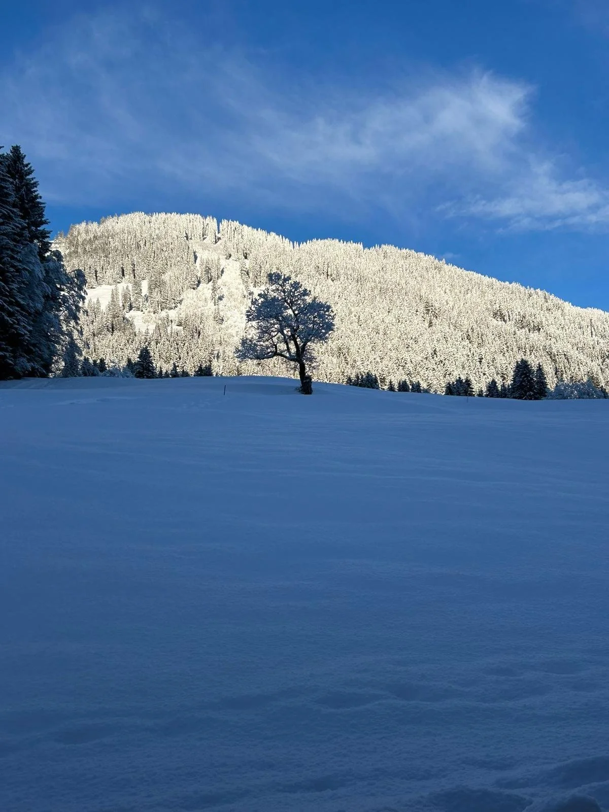 WhatsApp Image 2026-04-28 at 15.07.03 (7).jpeg