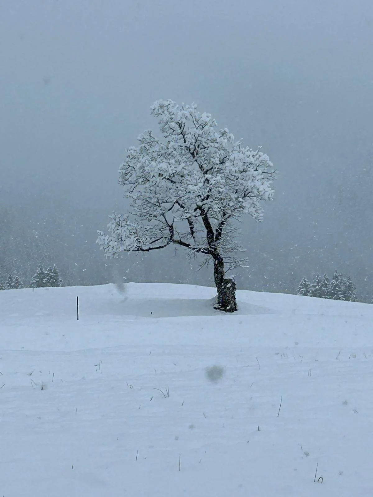 WhatsApp Image 2026-04-28 at 15.07.04.jpeg