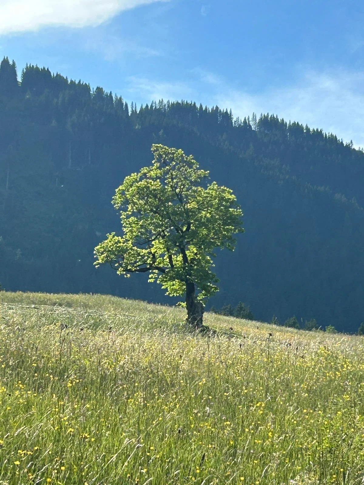 WhatsApp Image 2026-04-28 at 15.07.03 (15).jpeg