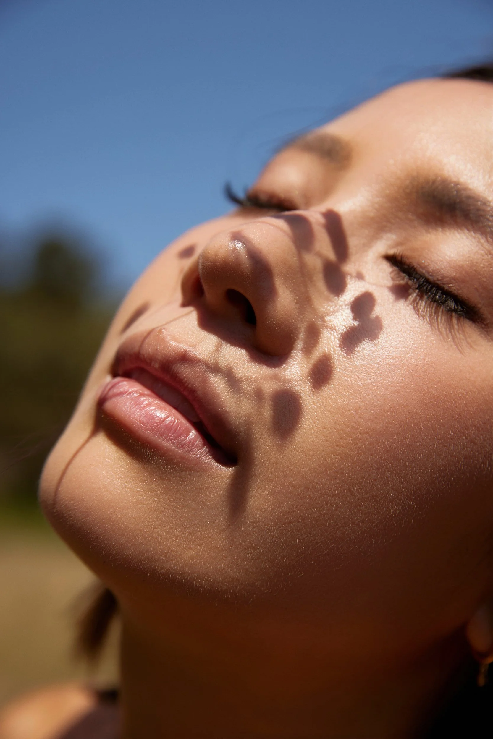 _Z0A0242.jpg