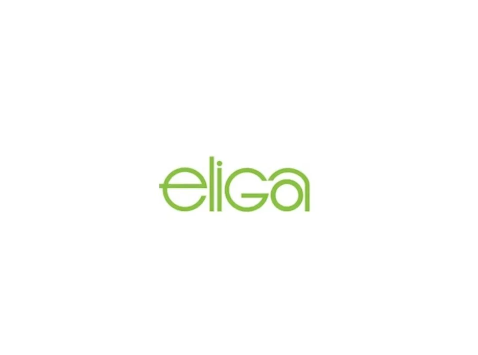Eliga logo 2.jpg