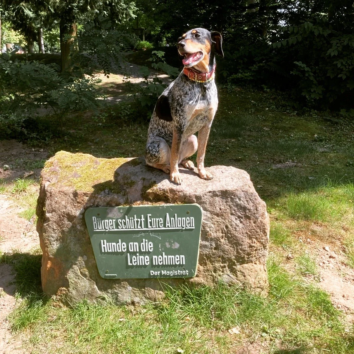 Manchmal verzweifle ich daran. 
Daran, dass wir uns &uuml;ber Gesetze so aus der pers&ouml;nlichen Verantwortung ziehen. Aus der Verantwortung, wirklich innerlich still zu werden und den Punkt, die Kompassnadel hinter Konditionierungen, Meinungen und