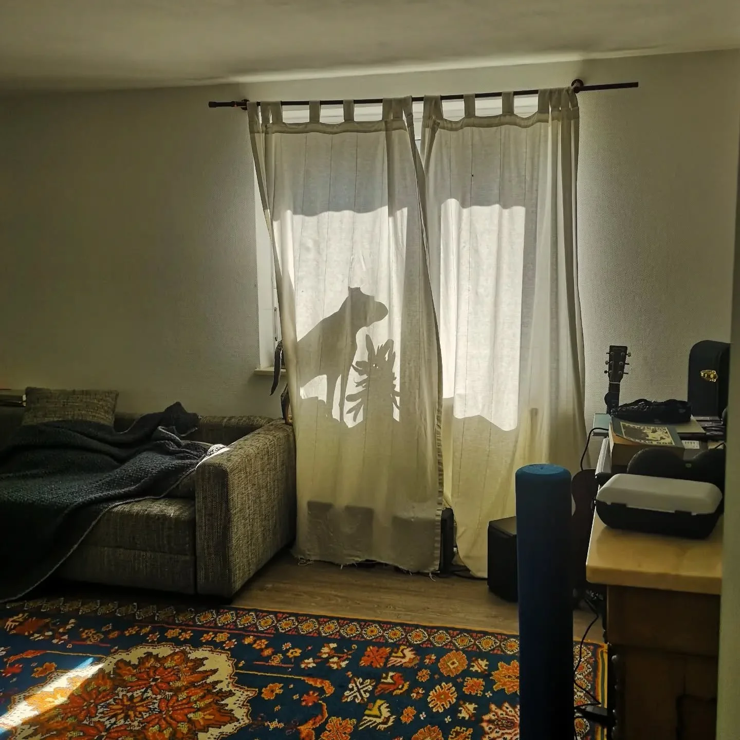 Wenn du bislang dachtest, dein Hund sei super intelligent und das das beste Versteck ist, dass er findet.
Ok, ich z&auml;hl nochmal von 100 runter. Is schlie&szlig;lich hei&szlig; heute...
#hideandseek #besch&auml;ftigungmithund #hundeverhaltensberat
