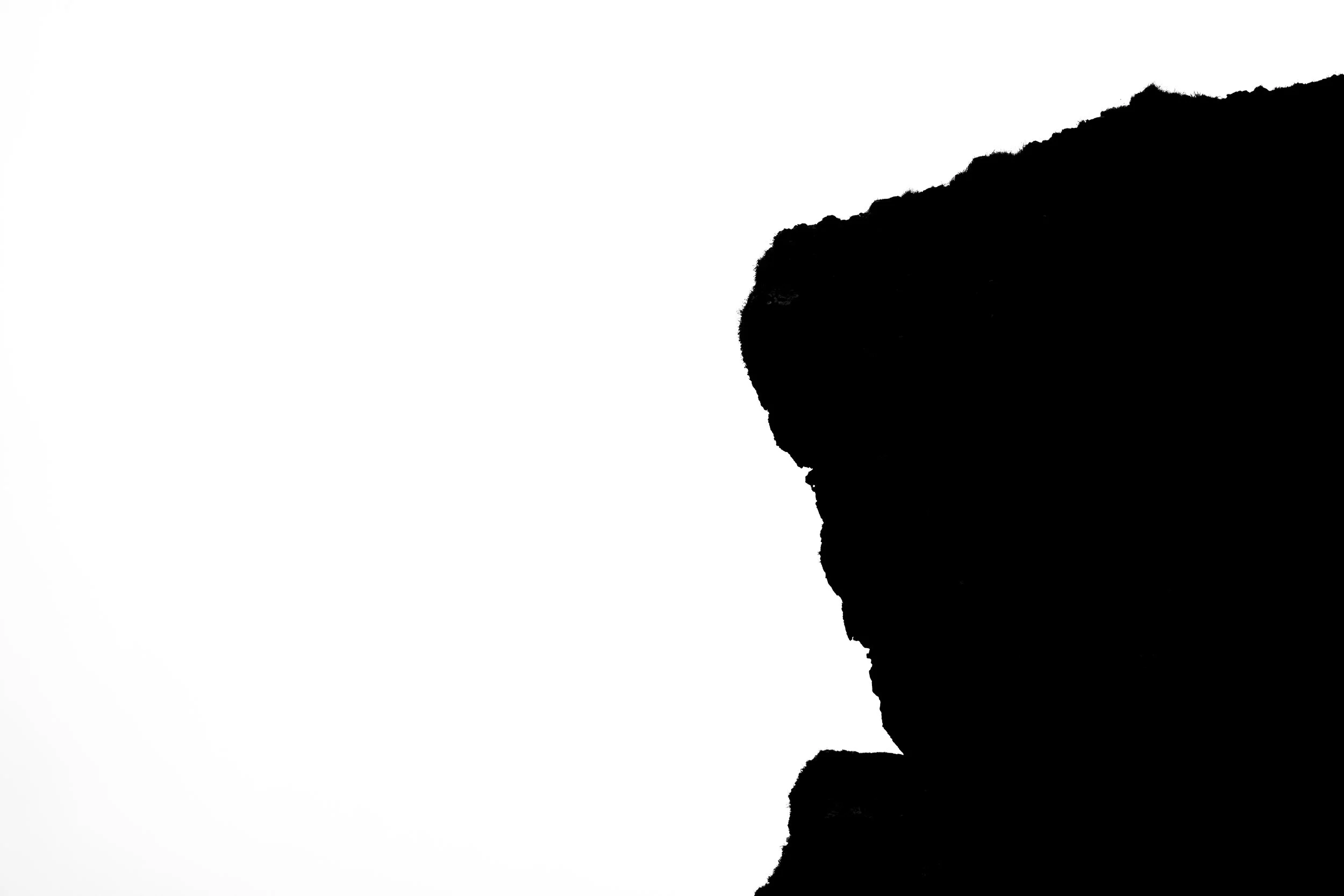 Silhouette of a person's profile against a white background.