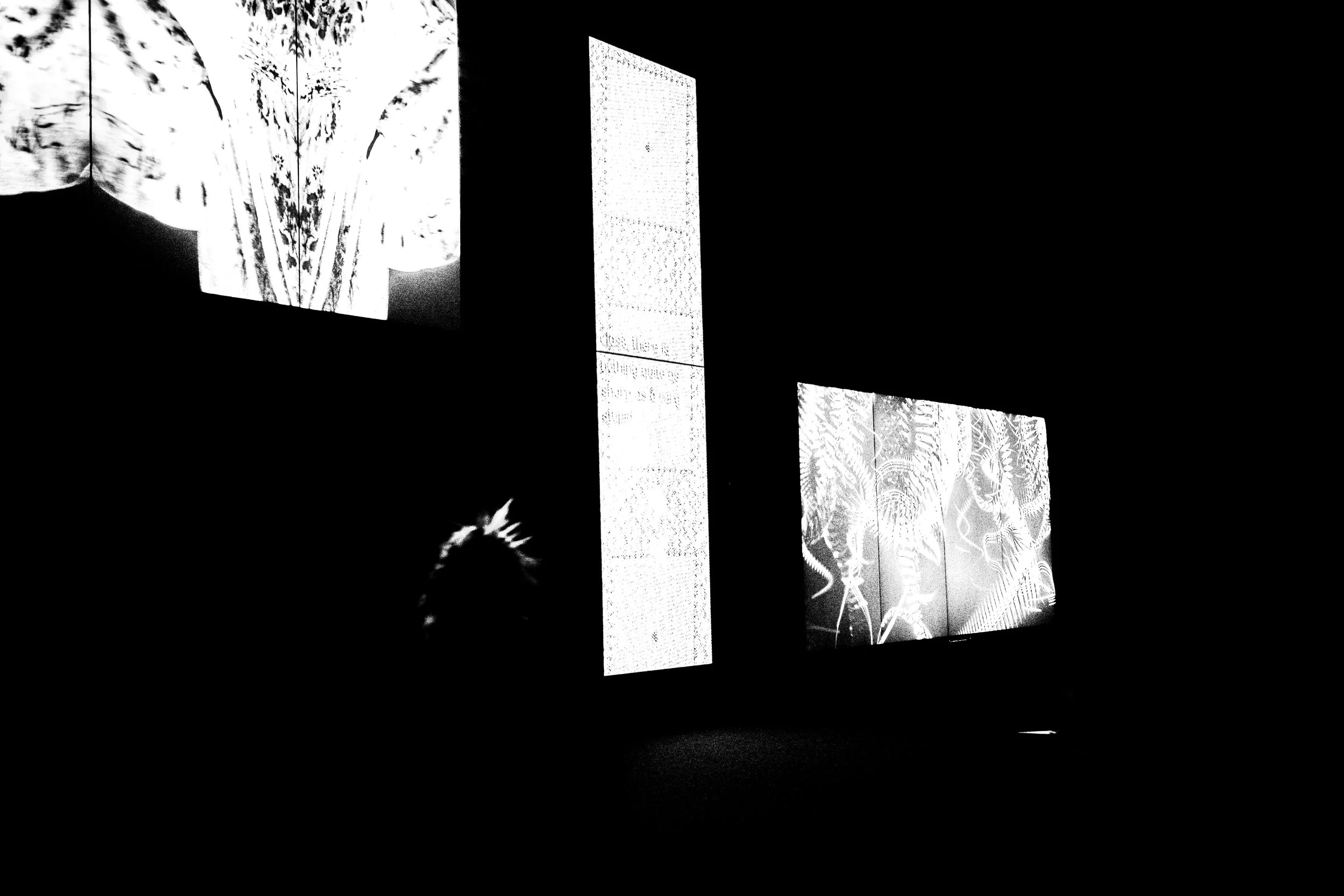Black and white photo of rectangular digital displays showing abstract patterns and text, arranged in a row on a dark background.
