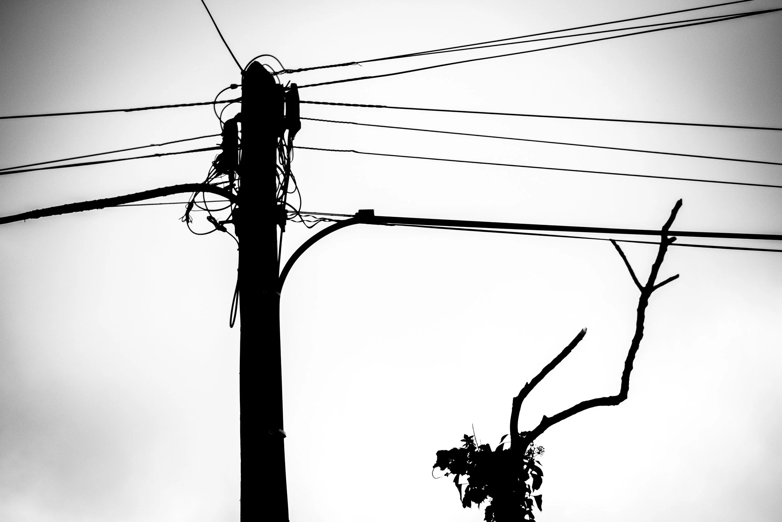 Silhouette of a utility pole with multiple power lines against a gray sky.