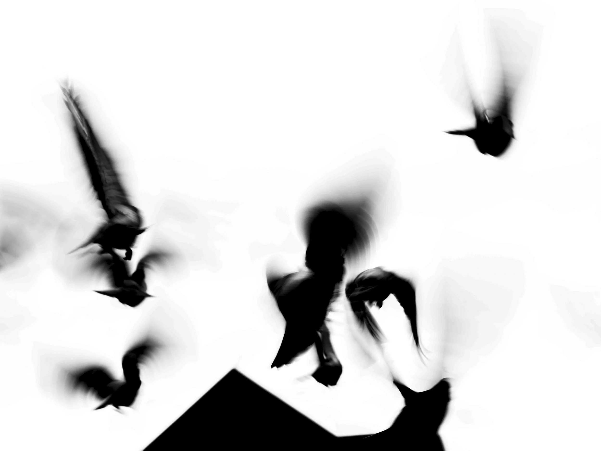 Silhouettes of birds flying against a light sky.