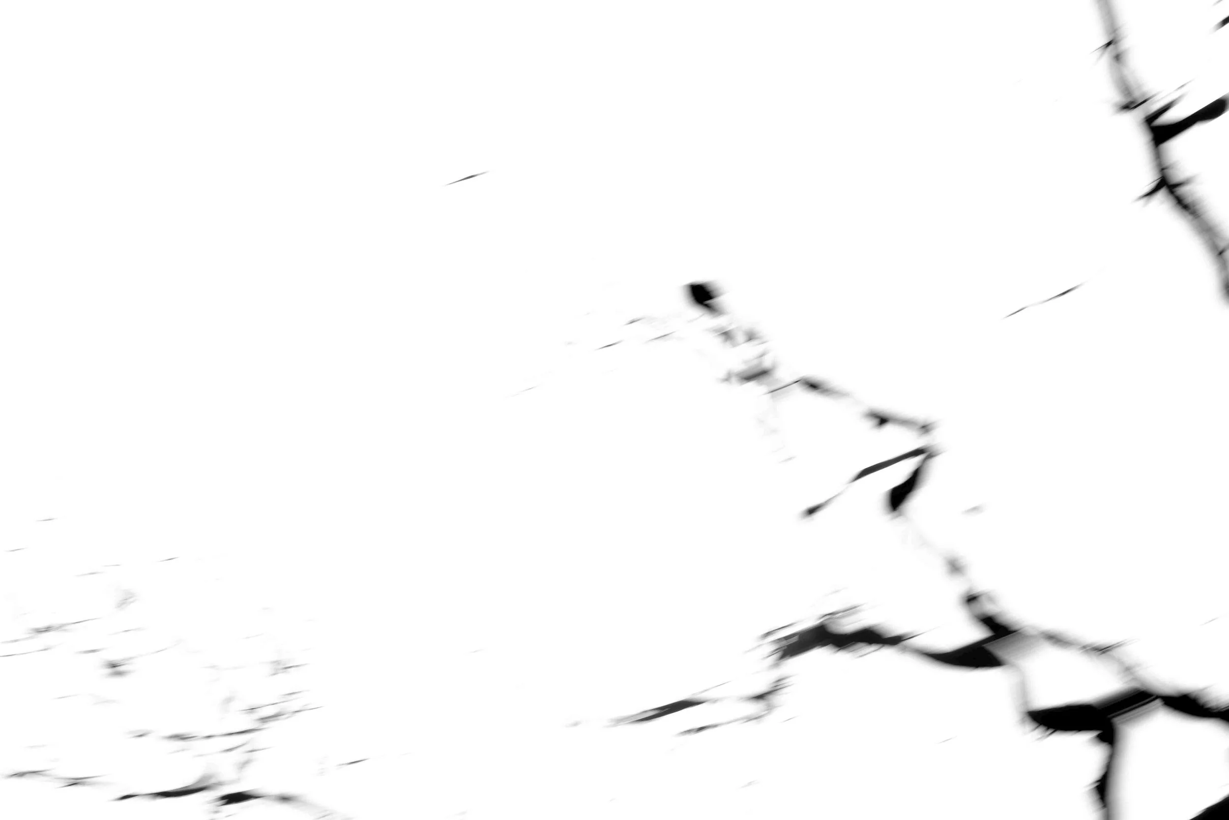 Black and white abstract image with blurred lines and shapes, resembling a chaotic and dynamic pattern.