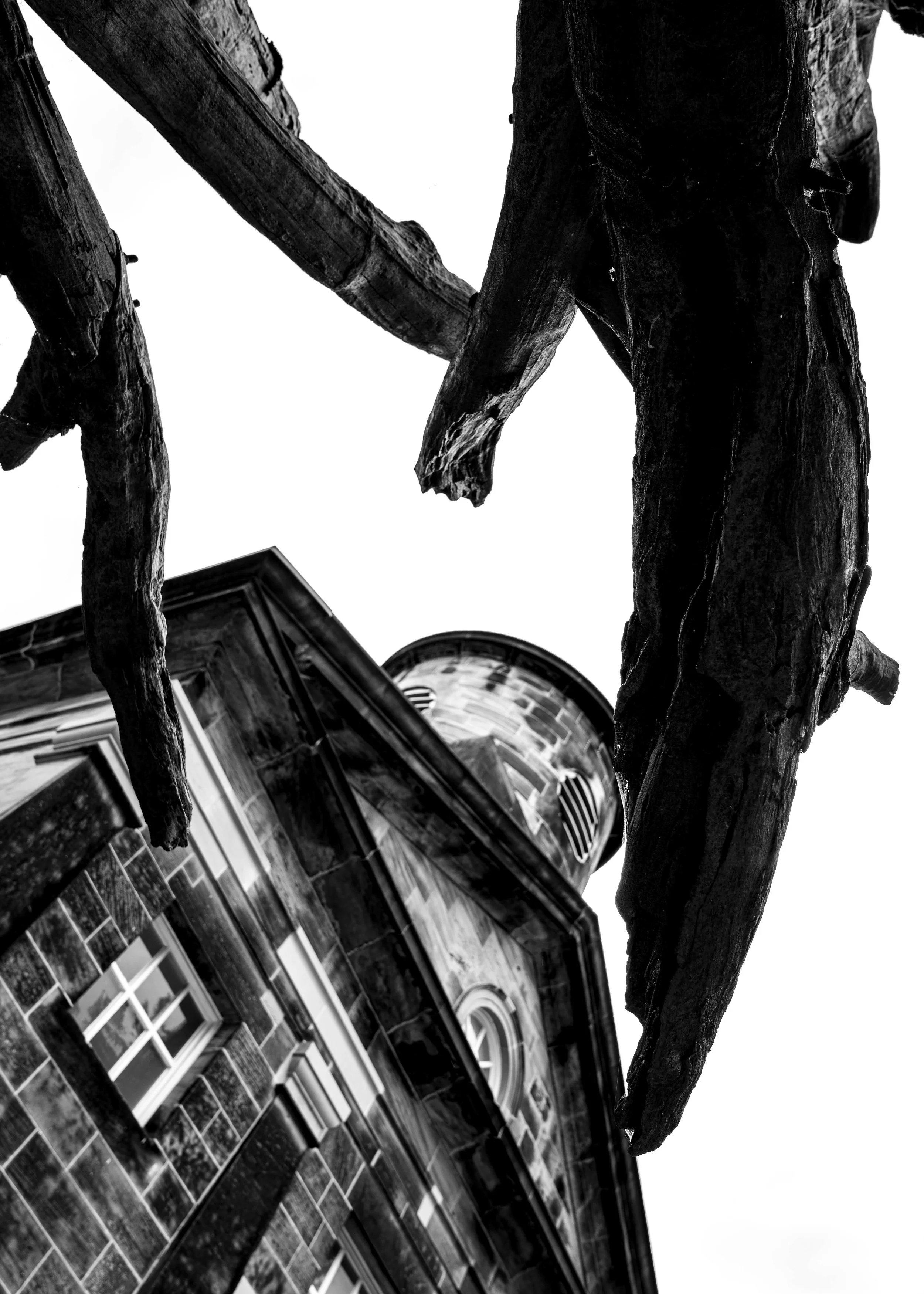 Close-up black and white photograph of a stone statue of a person holding a large tree branch in front of a building with many windows.