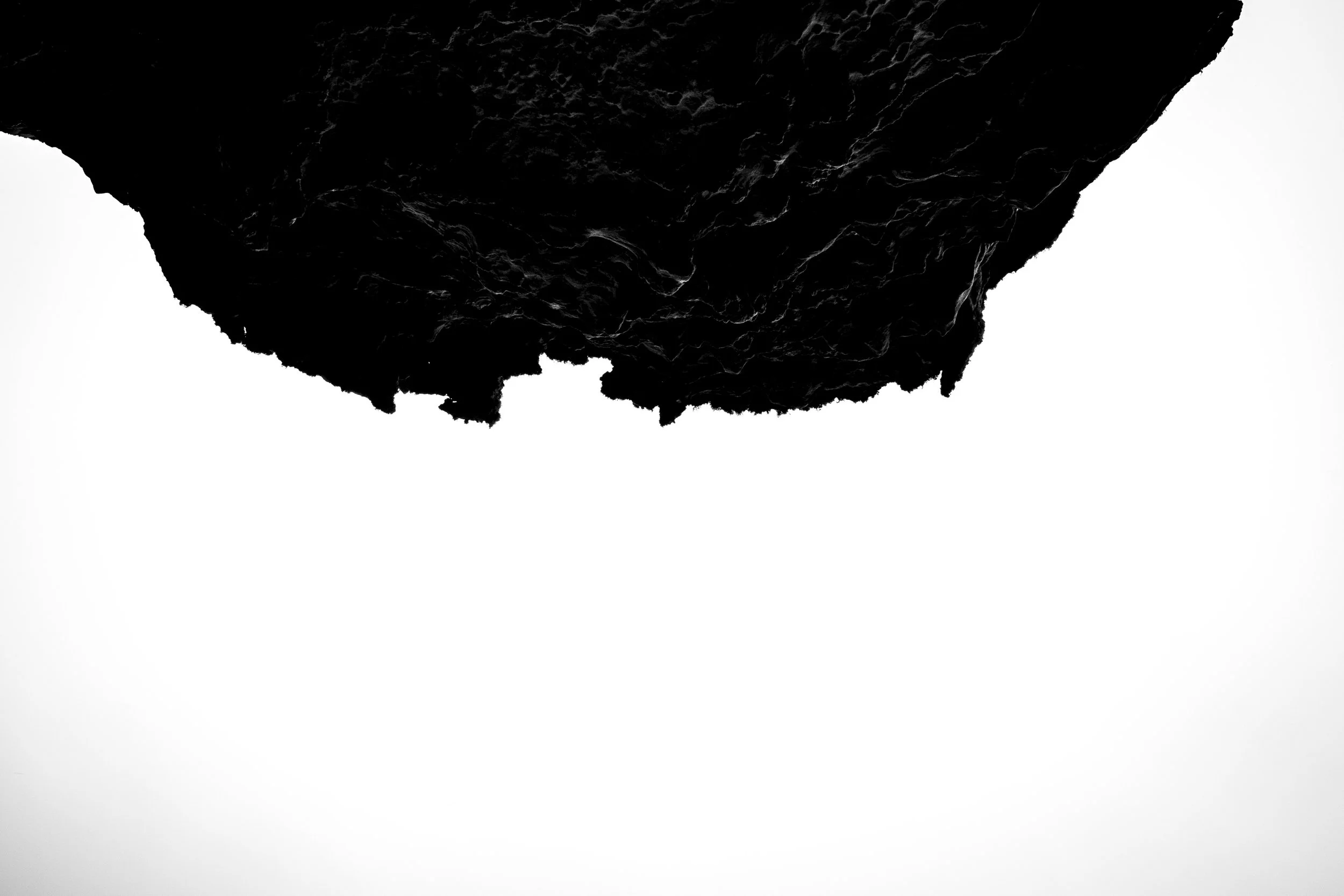 Close-up view of a dark, textured object with intricate surface details, against a white background.