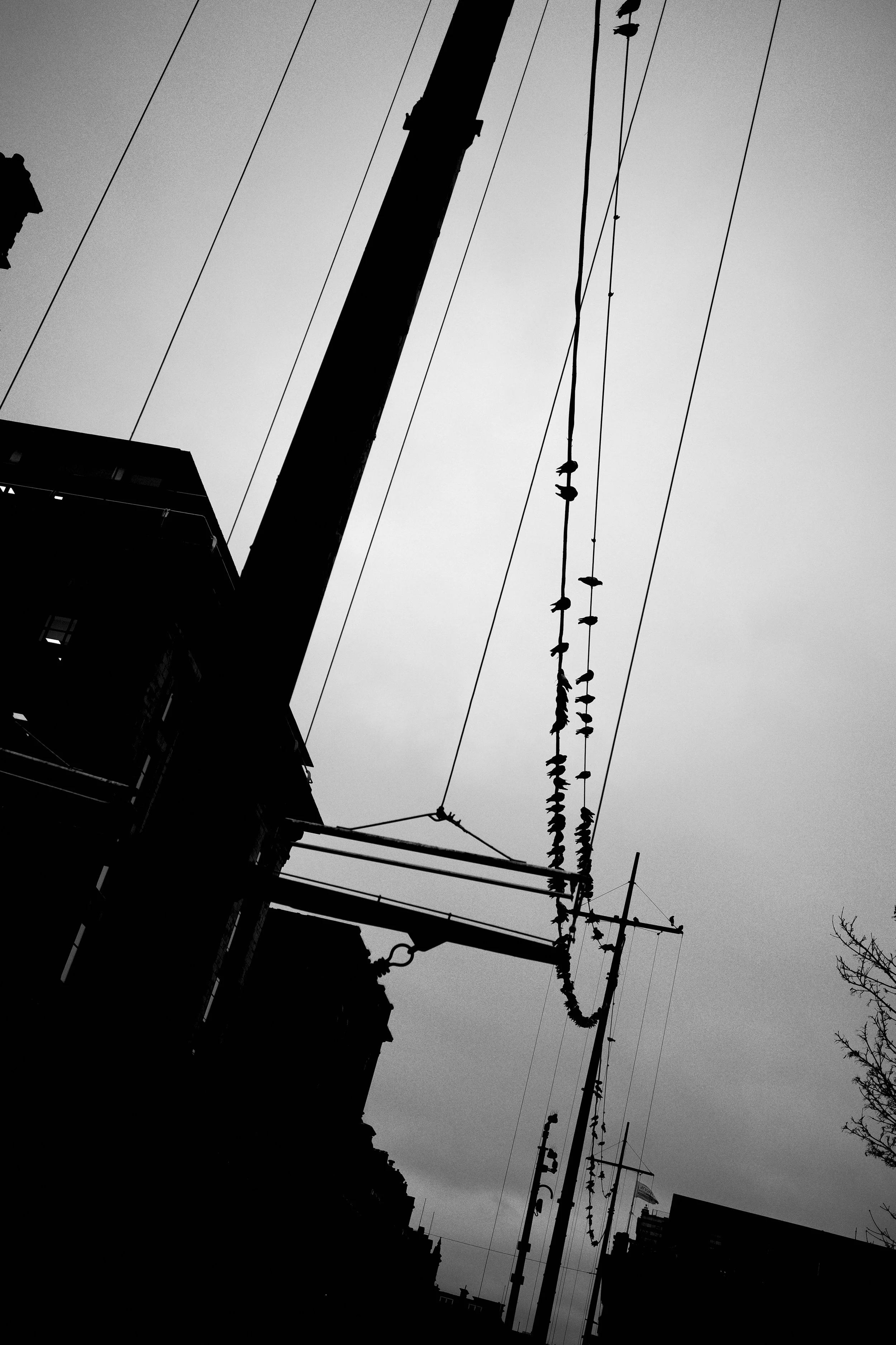 Black and white silhouette of a city street with utility poles and power lines against an overcast sky.