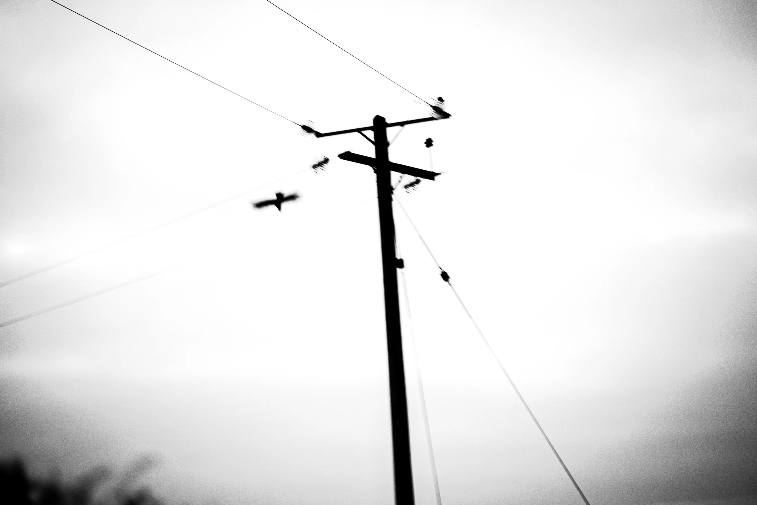 Black and white photograph of an electrical utility pole with wires extending outward against a featureless sky.