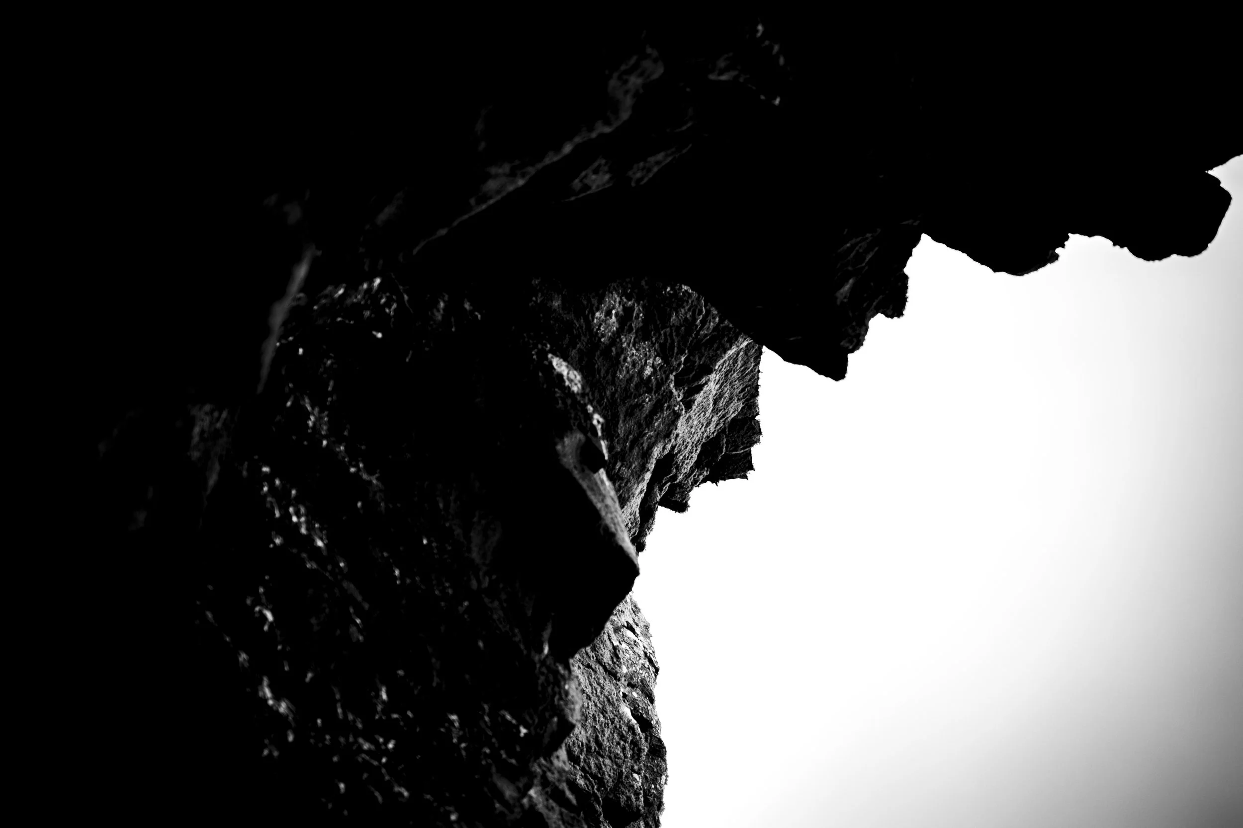 Silhouette of a man's profile with short hair and beard, looking to the right, against a white background.
