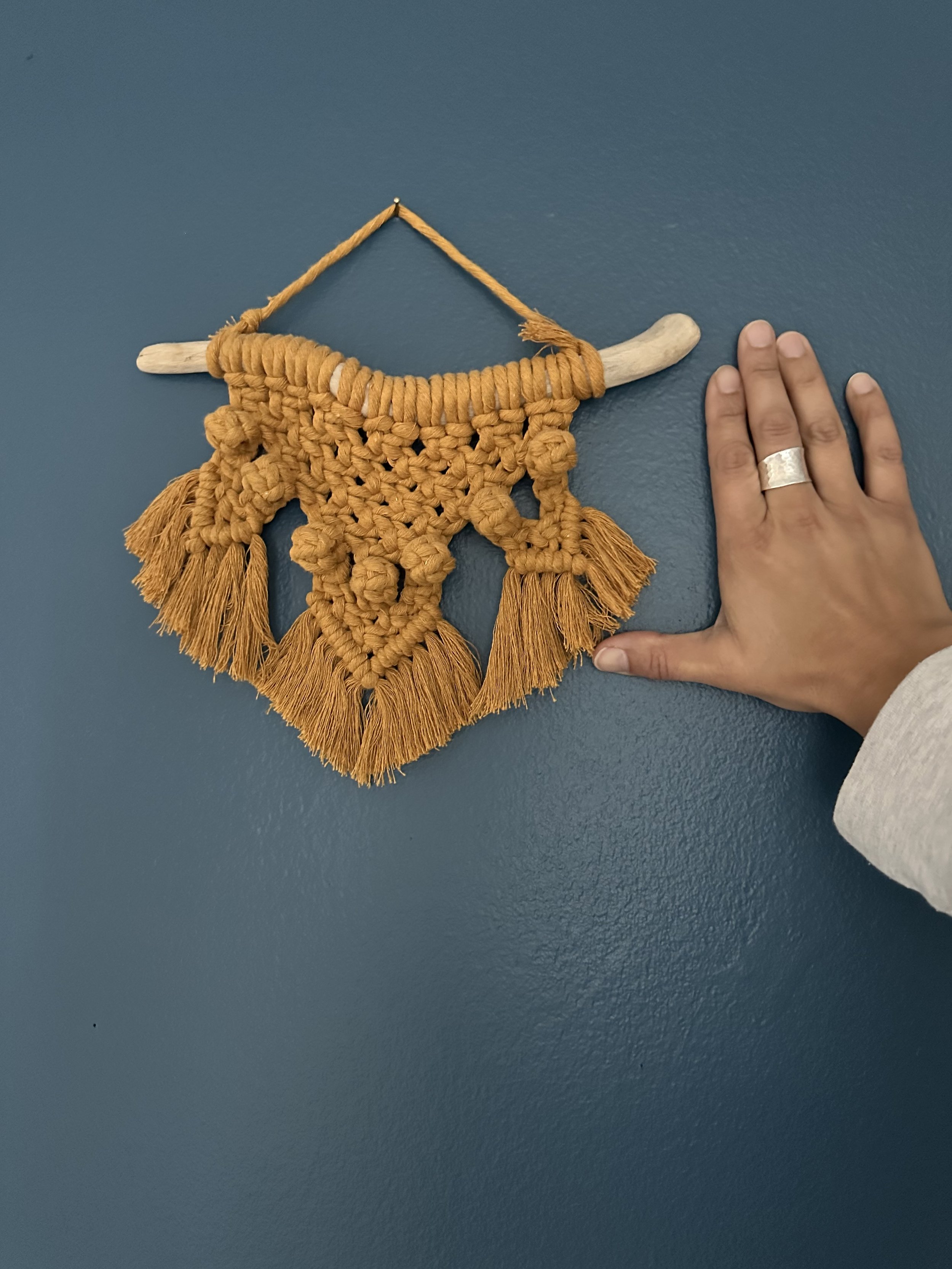 Macramé Magic: Boho Wall Hanging — Locally Crafted Workshop