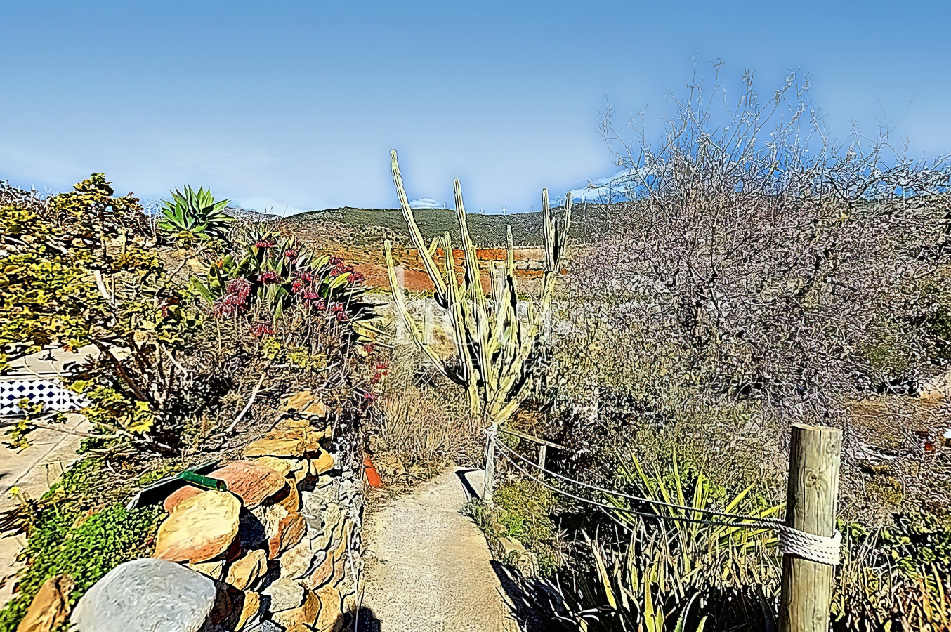 #202 - imgi_30_listing_460244_0034_63cebda4_1280x720_c4ec654dec5a739aa8484dc557820ce8-topaz.png