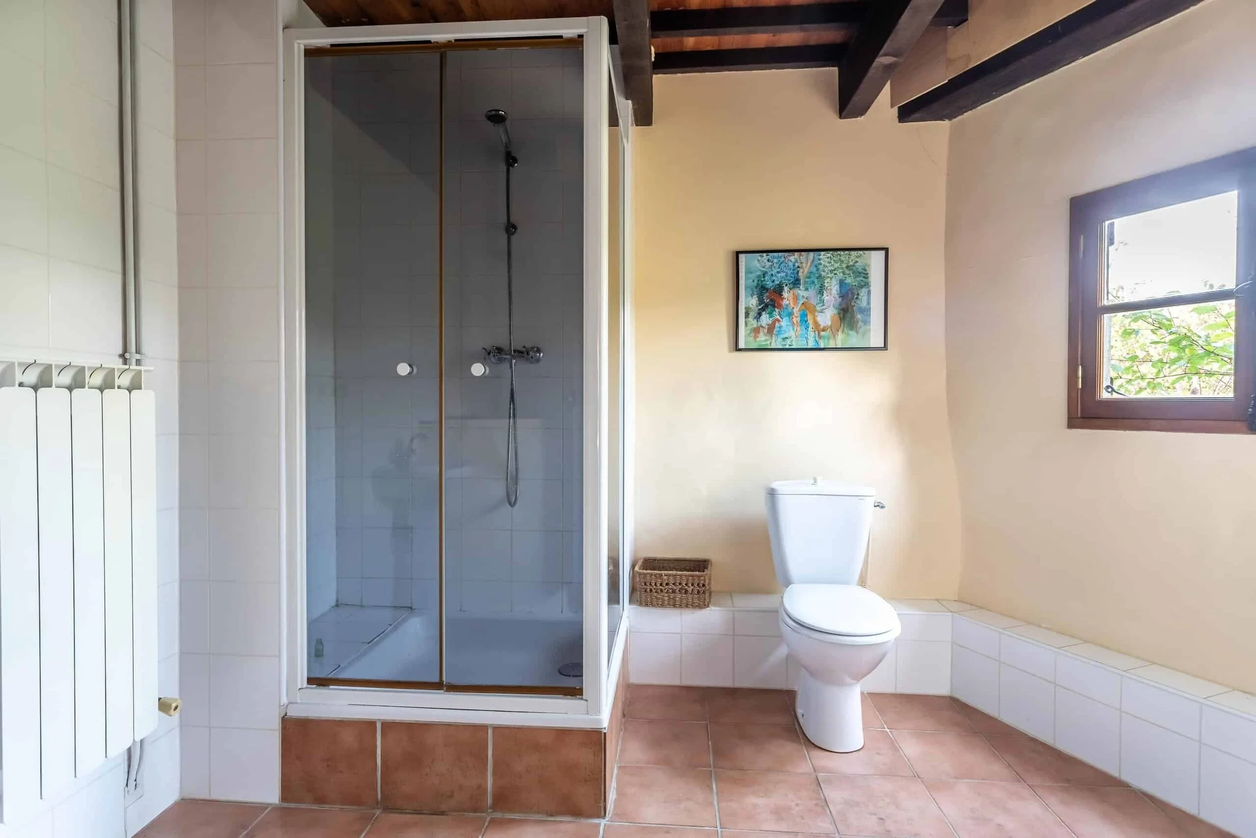 imgi_29_shower-2-wmc645.jpg