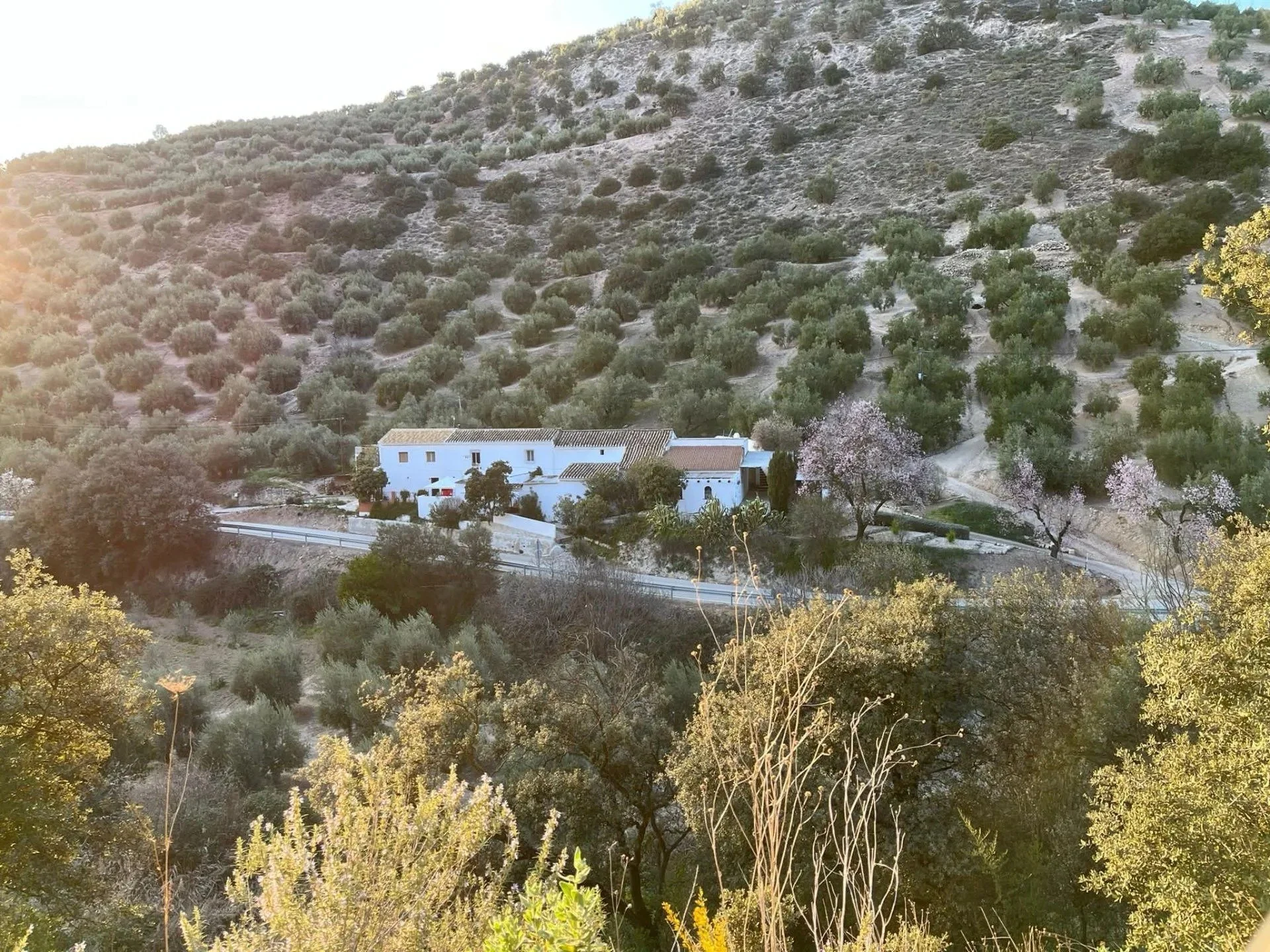 imgi_287_2000xxs.jpg