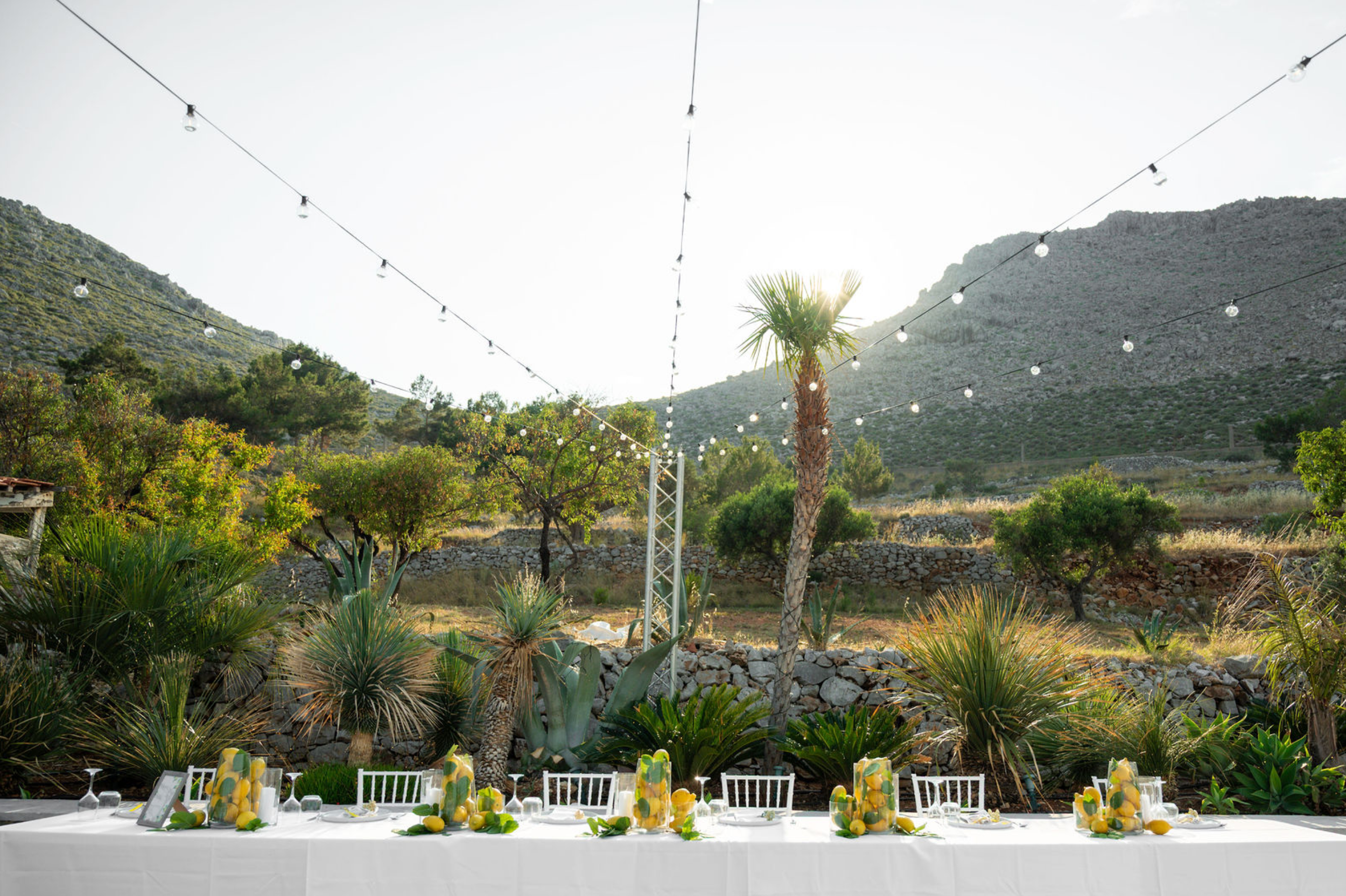 A long table decorated with lemon-themed centerpieces and table settings, set outdoors in a scenic mountainous area with string lights overhead, and lush greenery and trees surrounding the scene.