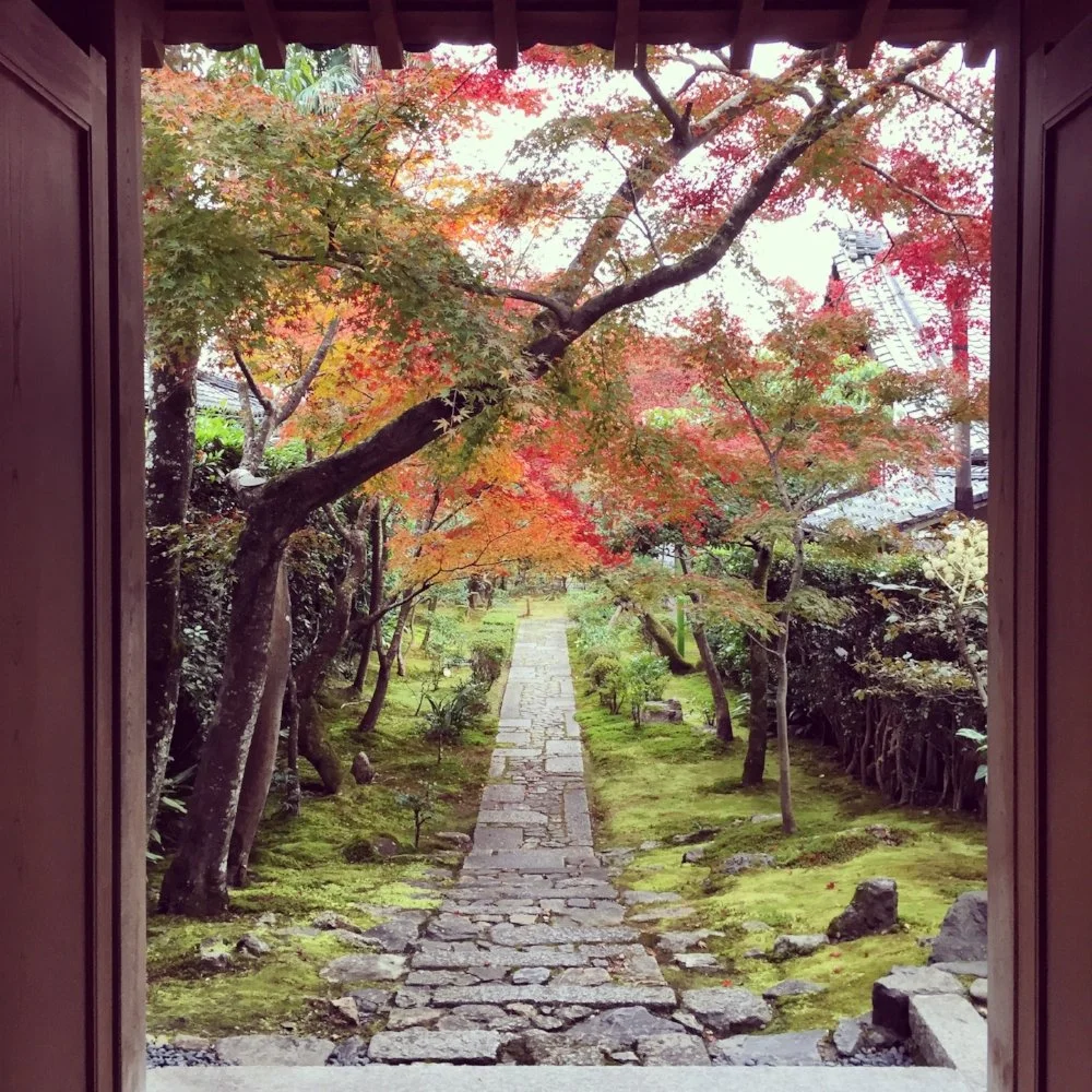 View of a Japanese garden with a stone pathway, trees with red and green leaves, moss, and rocks, seen from a traditional building opening.