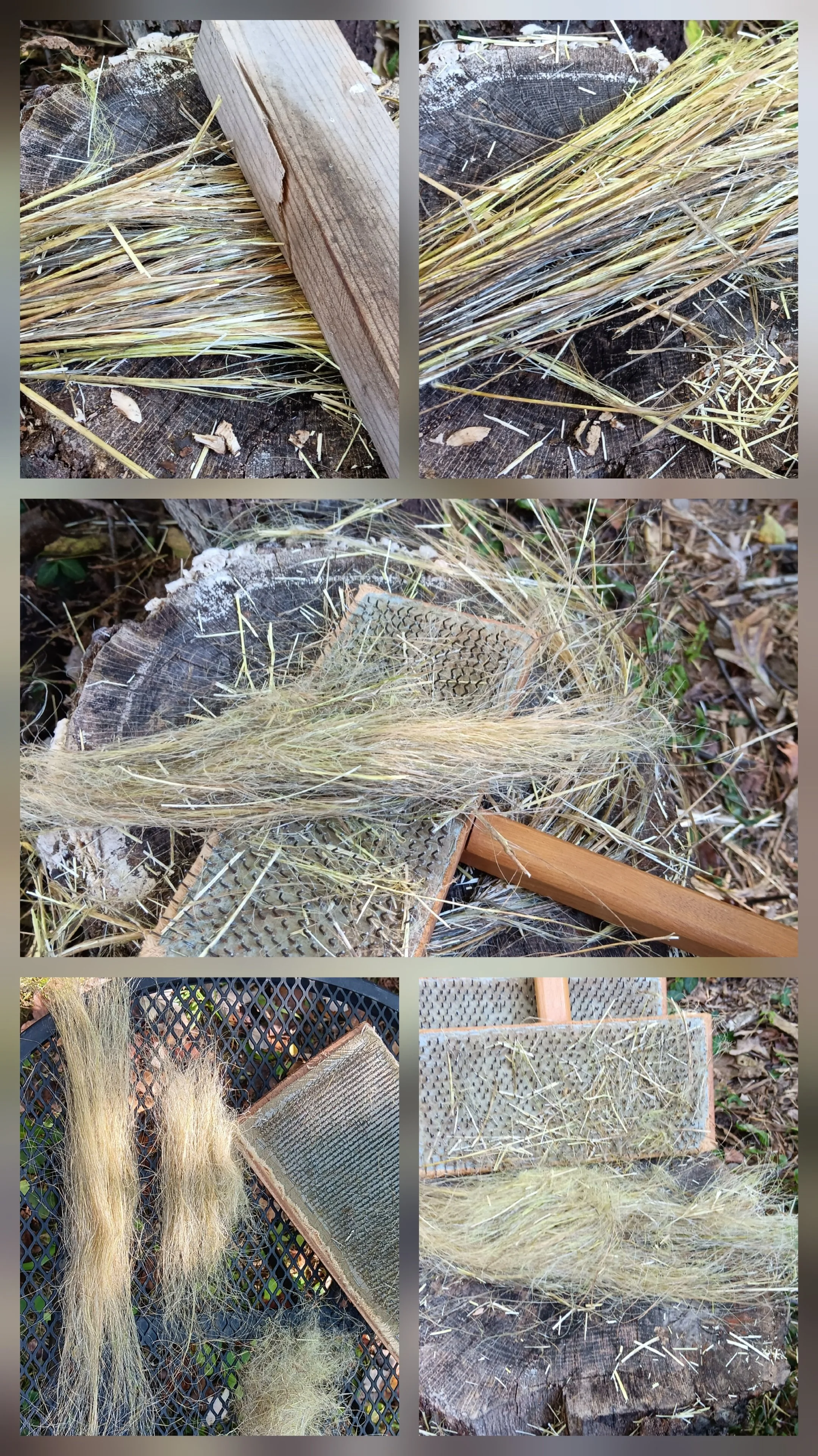 Spinning Flax