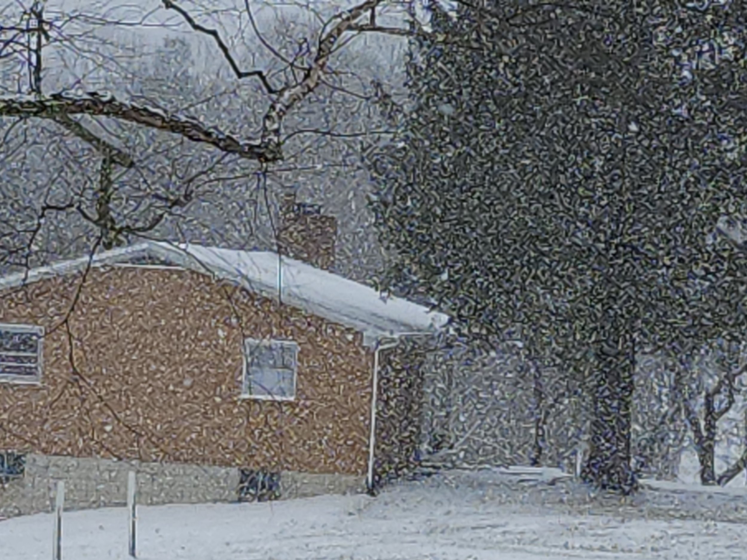 Center in snowstorm.jpg
