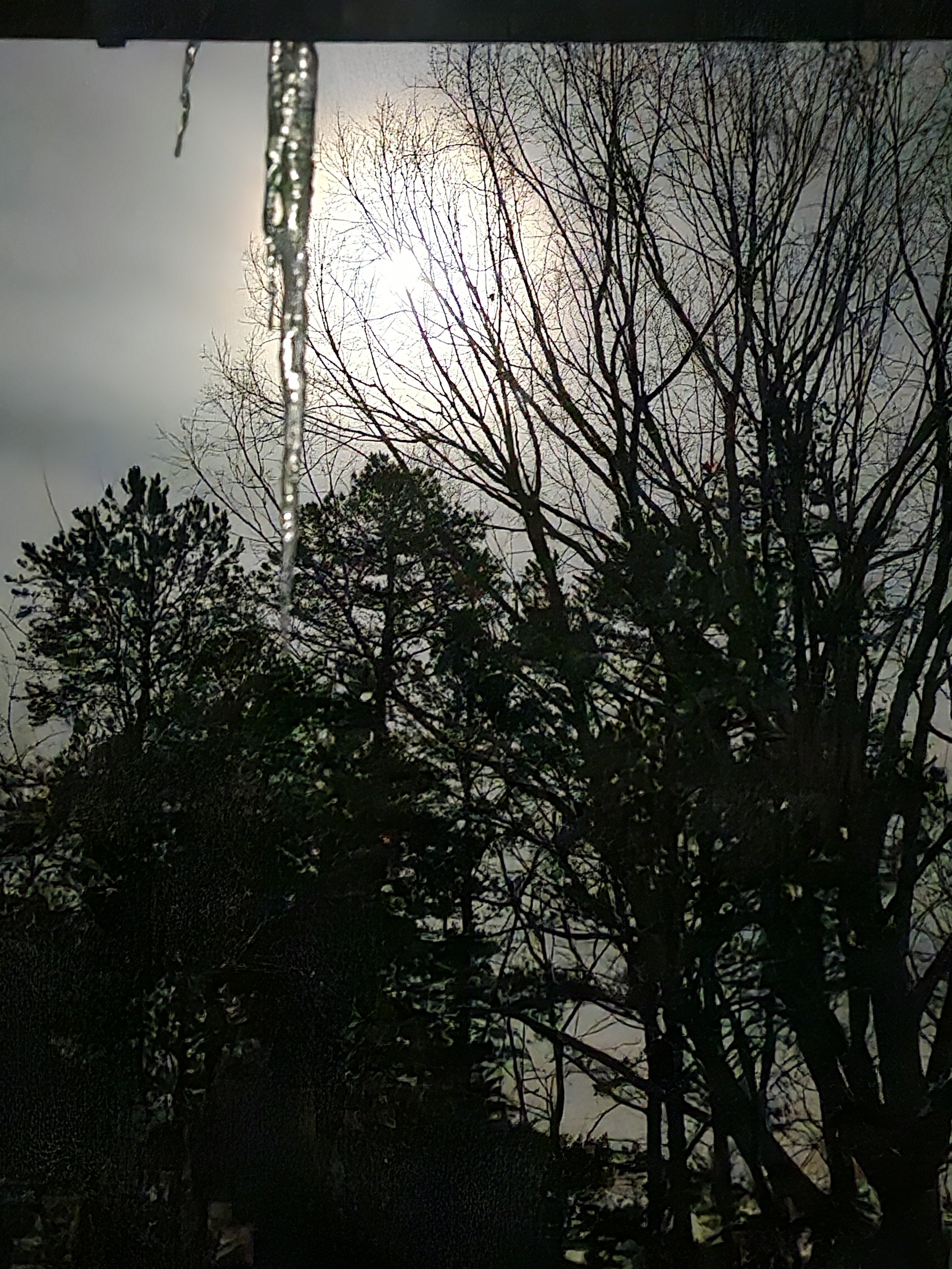 moon with icicle.jpg