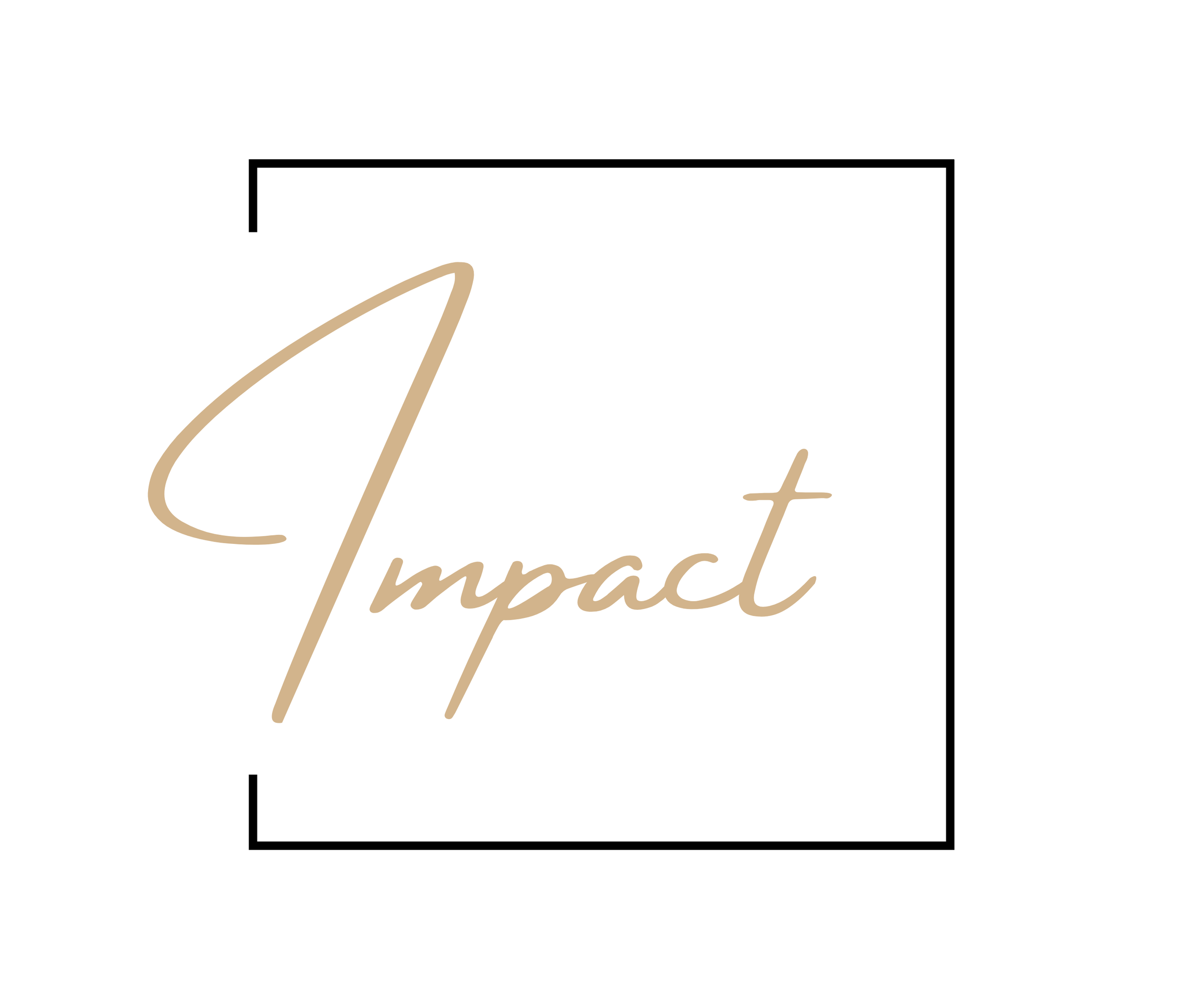 The word 'Impact' written in beige cursive script inside a white box with a black border.