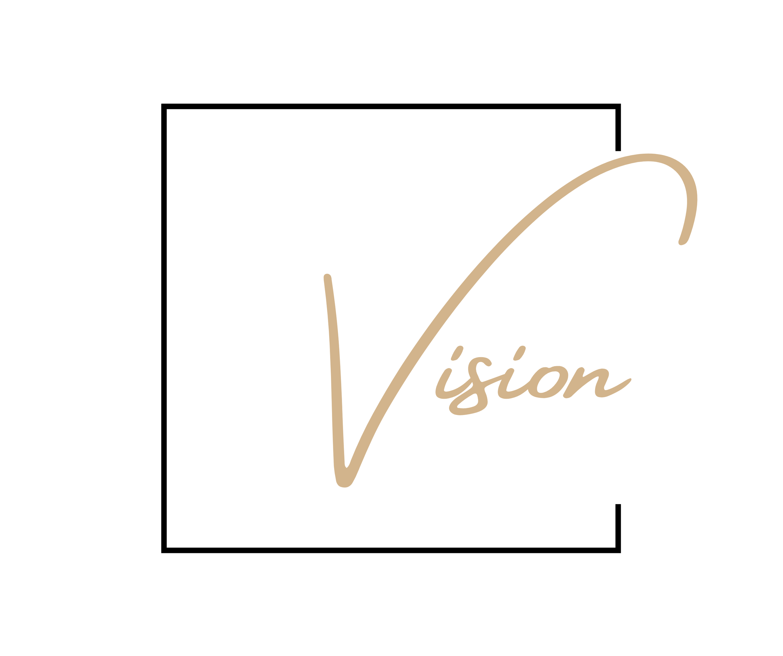 Logo with a stylized letter V in beige, the word 'ision' in cursive, inside a black rectangular border with open corners.