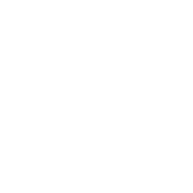 ORSCH Icon.png