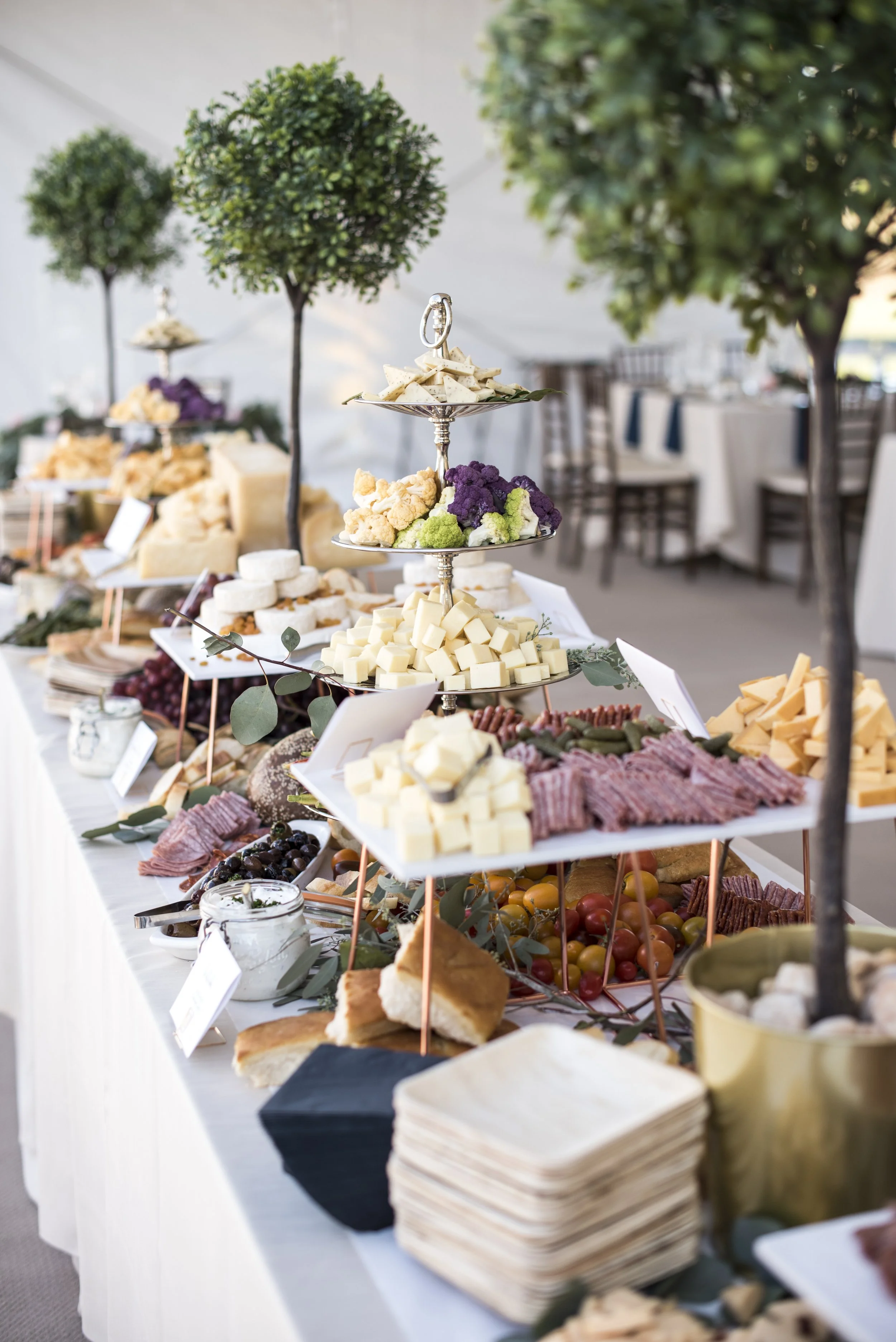 Varischetti ReceptionJoelle Watt Studios2019_56.jpg