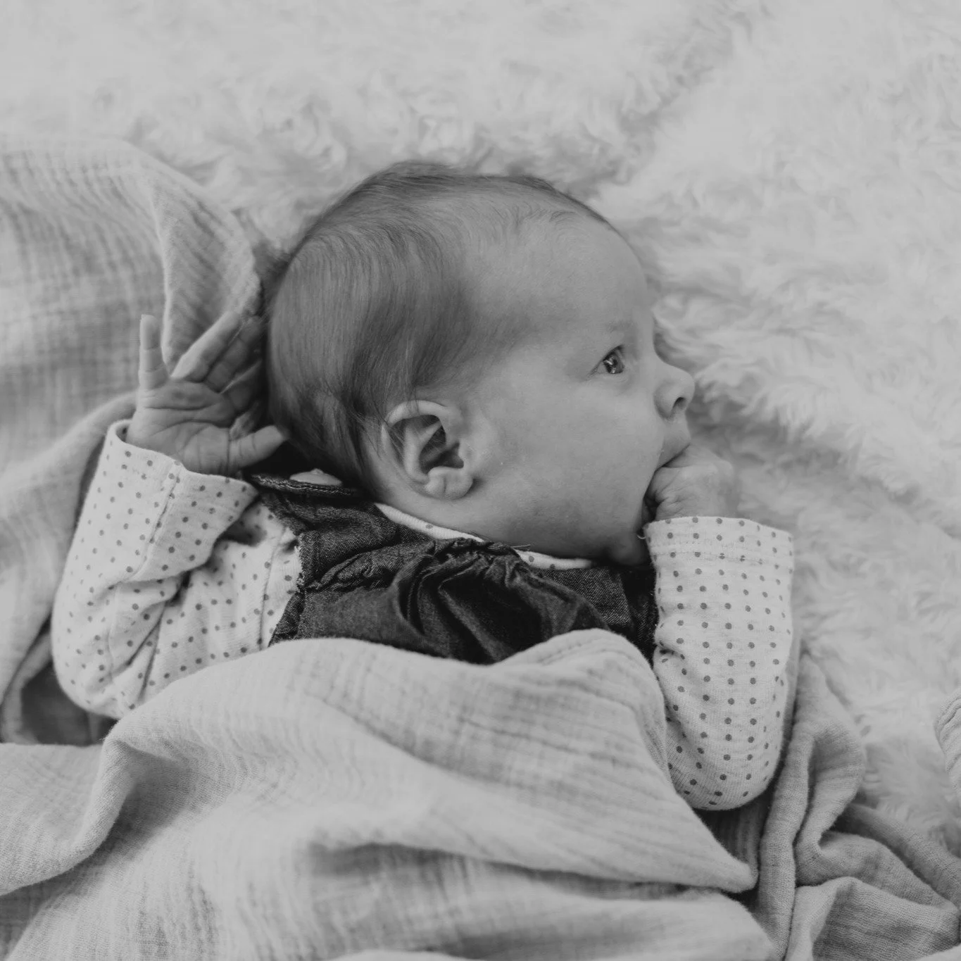 The PERFECTION that is on my editing queue today😍 Newborn sessions are quickly becoming some of my favorites:)