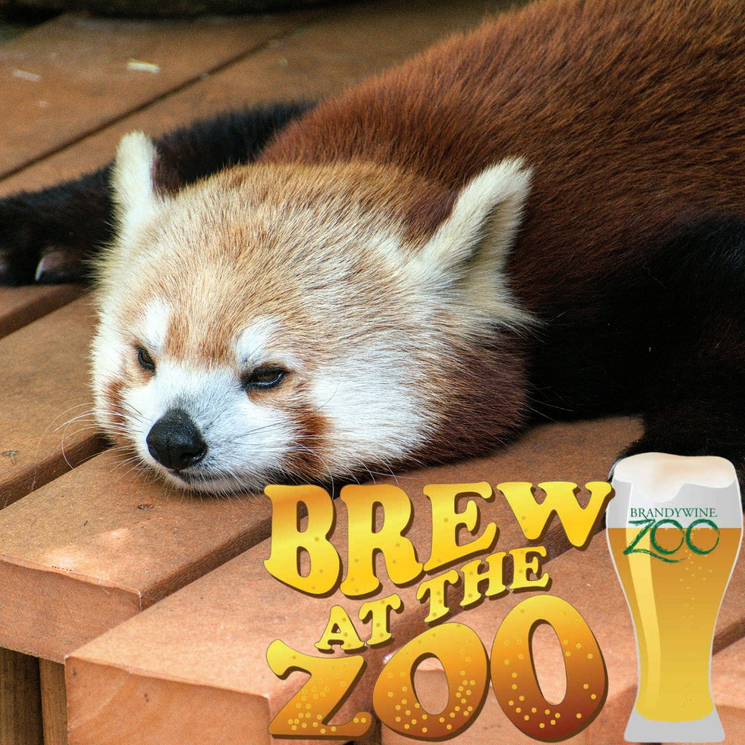 Brew at the Zoo