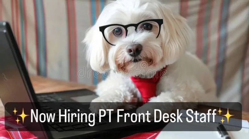 Looking for a positive, caring, dog & people-friendly Front Desk staff {Part time} !
⭐️HOURS: 7-10 am M-F ⭐️
Skills Requored:
❣️Must love Dogs & customer service
❣️dependability & puncuality
❣️Team focused with solid communication s