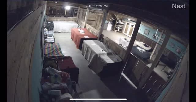 We are keeping an eye@on this terrible weather. The rain is just starting here in PV. The babies are all sound asleep currently (sound on)😴 Stay safe everyone, and we will keep you updated ❤️