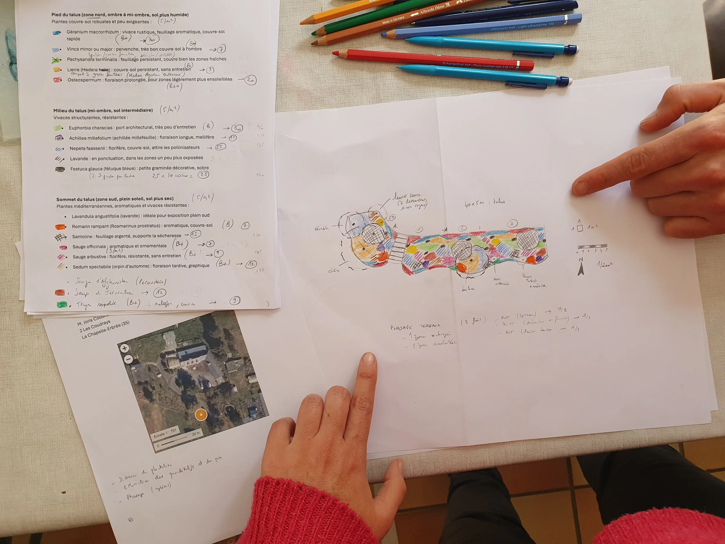 Quel budget prévoir pour un jardin naturel à Vitré ? 