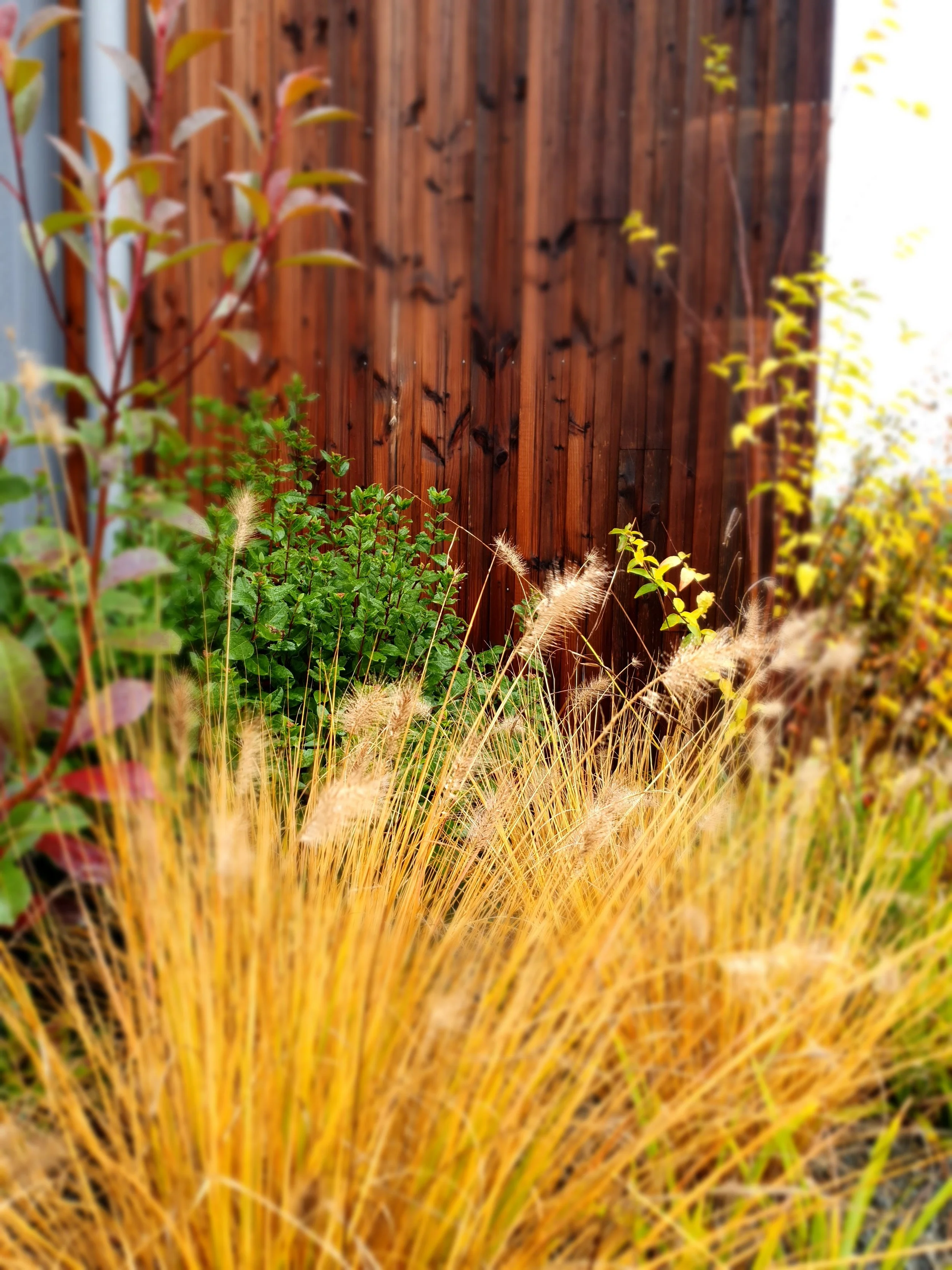 Créer des coins de détente dans son jardin à Vitré : idées et inspiration