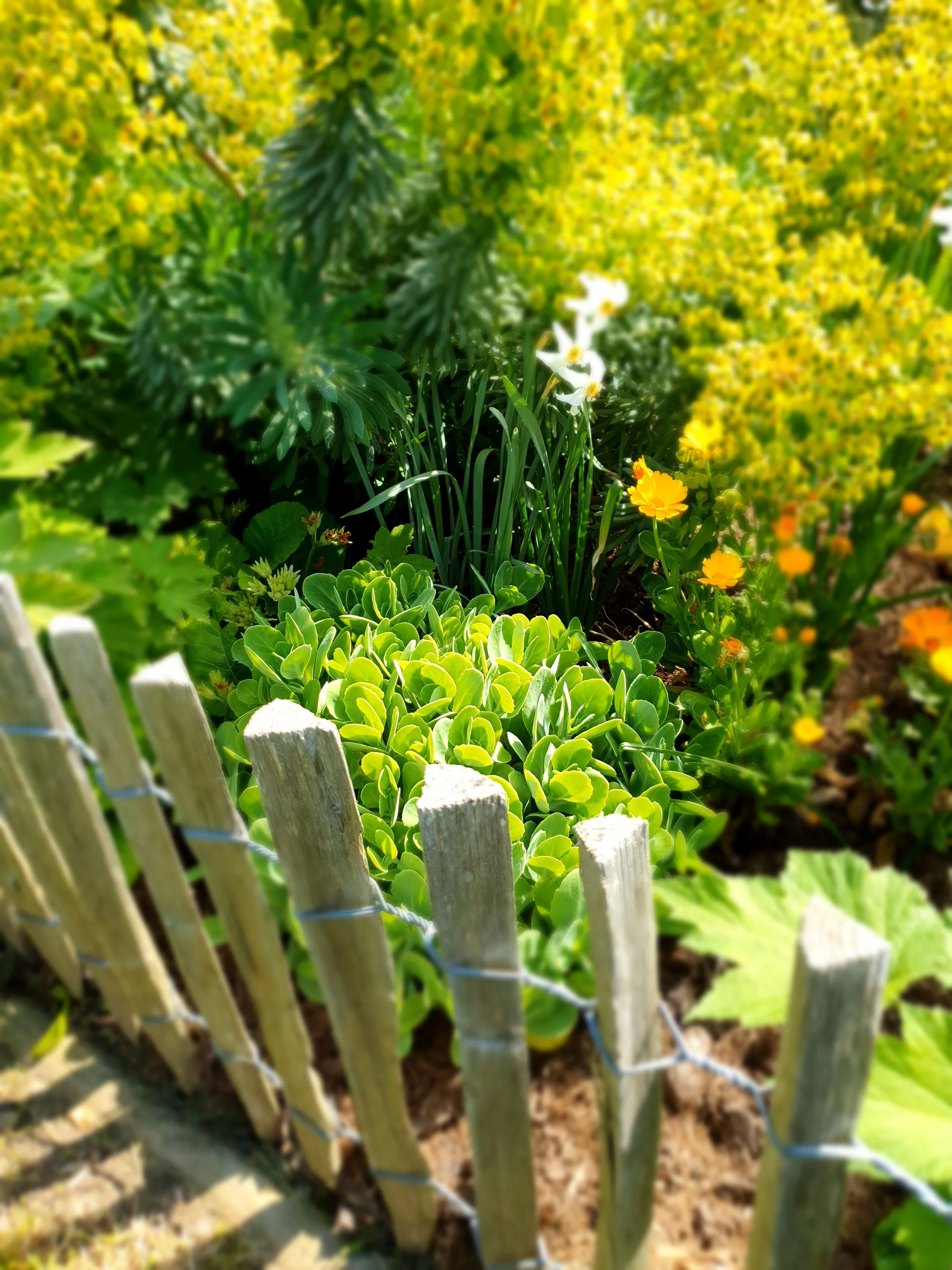 Aménagement d’un petit jardin à Vitré : astuces pour gagner de la place