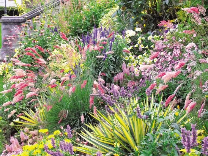Créer un jardin facile à entretenir à Vitré : nos conseils