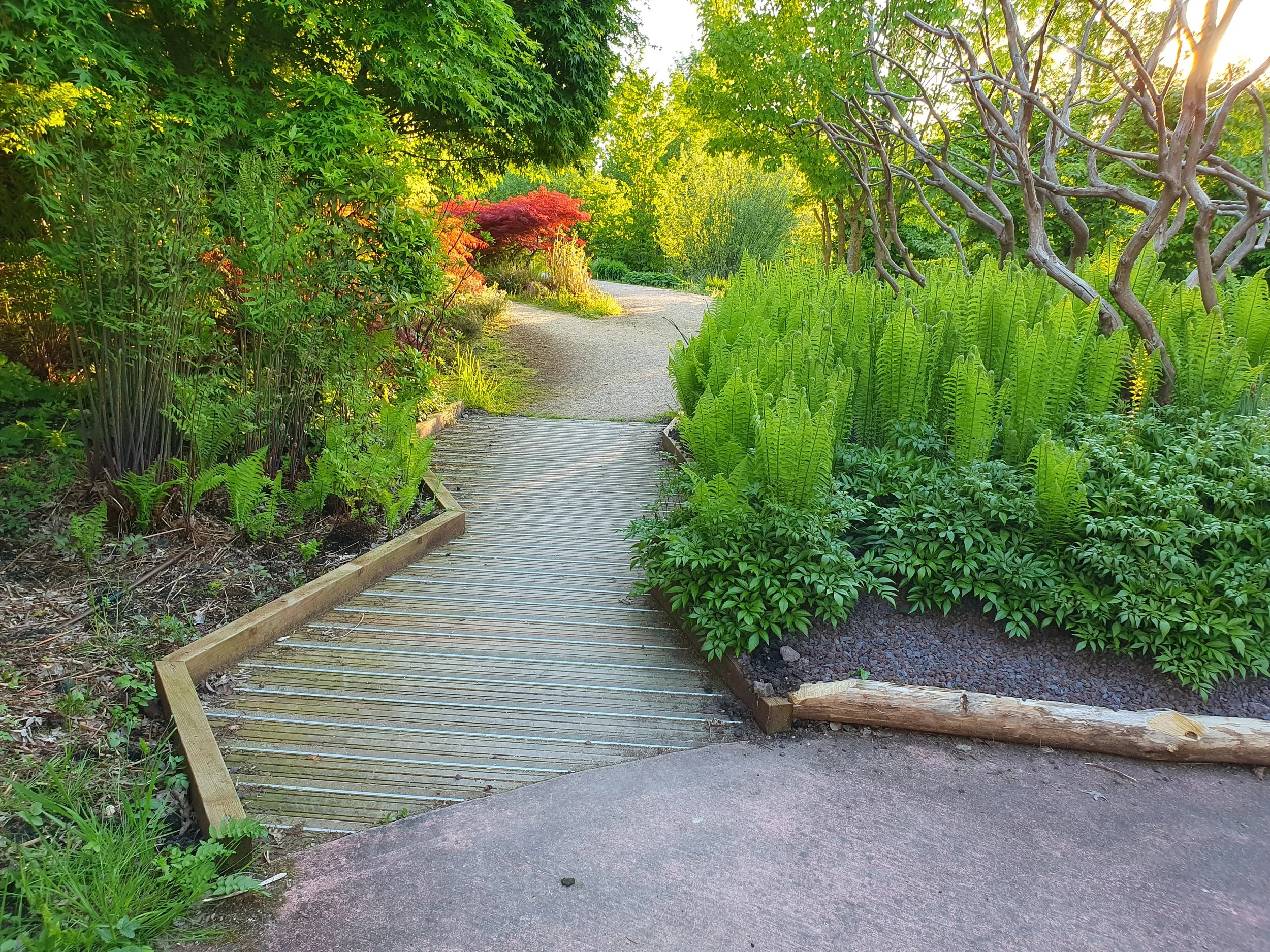 Comment structurer son jardin à Vitré : guide pratique pour particuliers