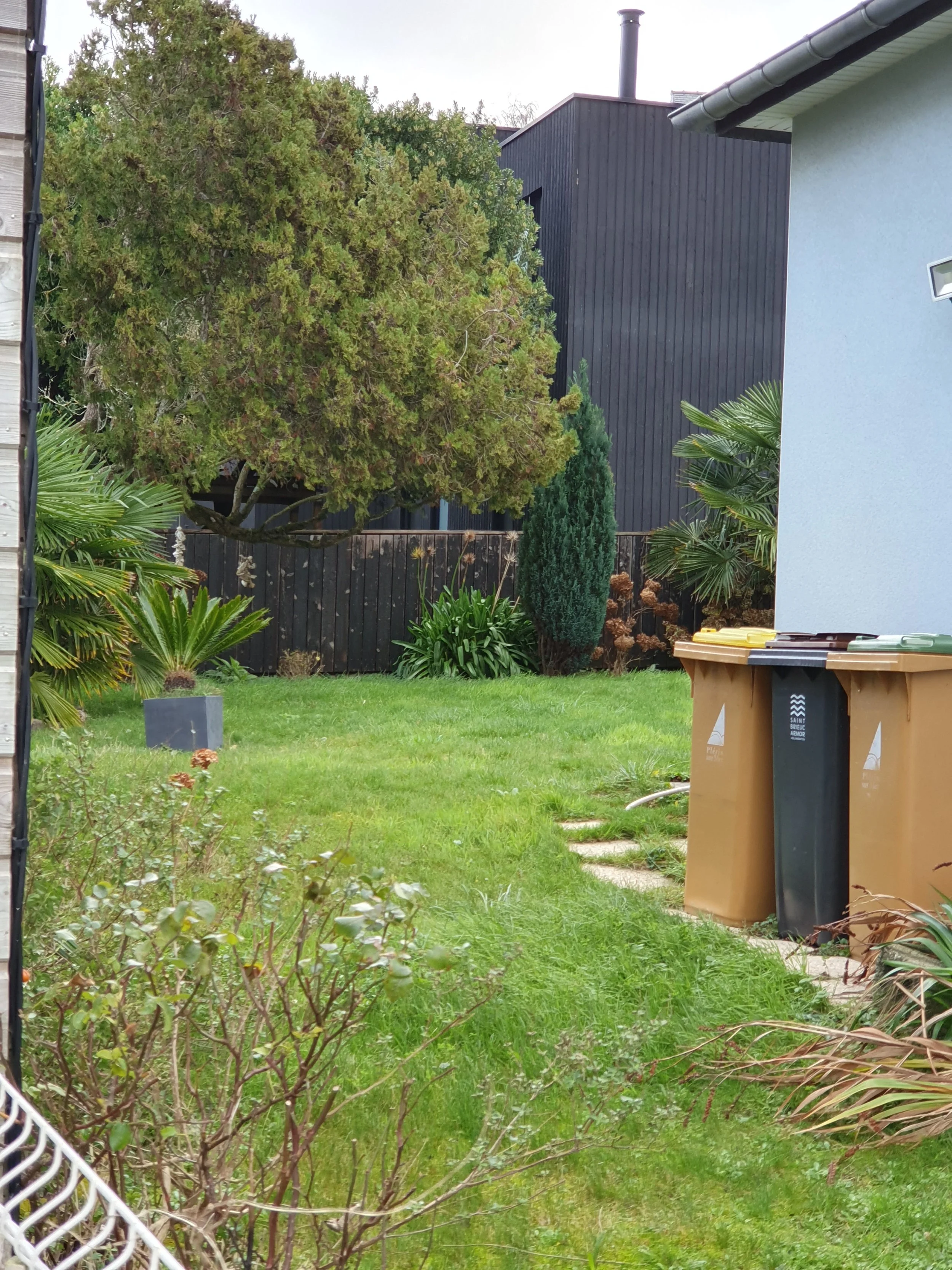 Erreurs à éviter quand on aménage son jardin à Vitré