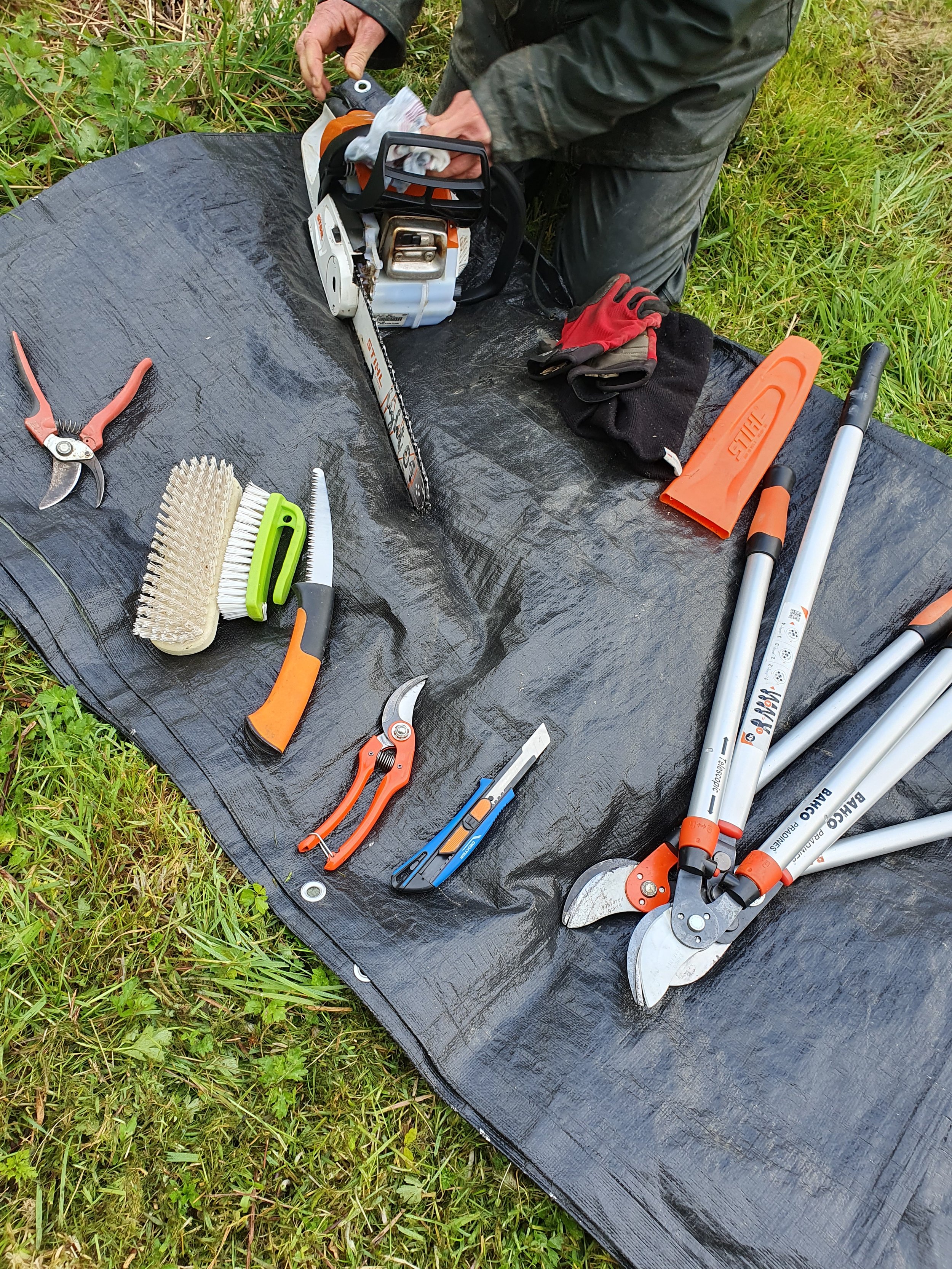 Outillage_professionnel_taille_fruitier_Vitré_Papote_et_depote