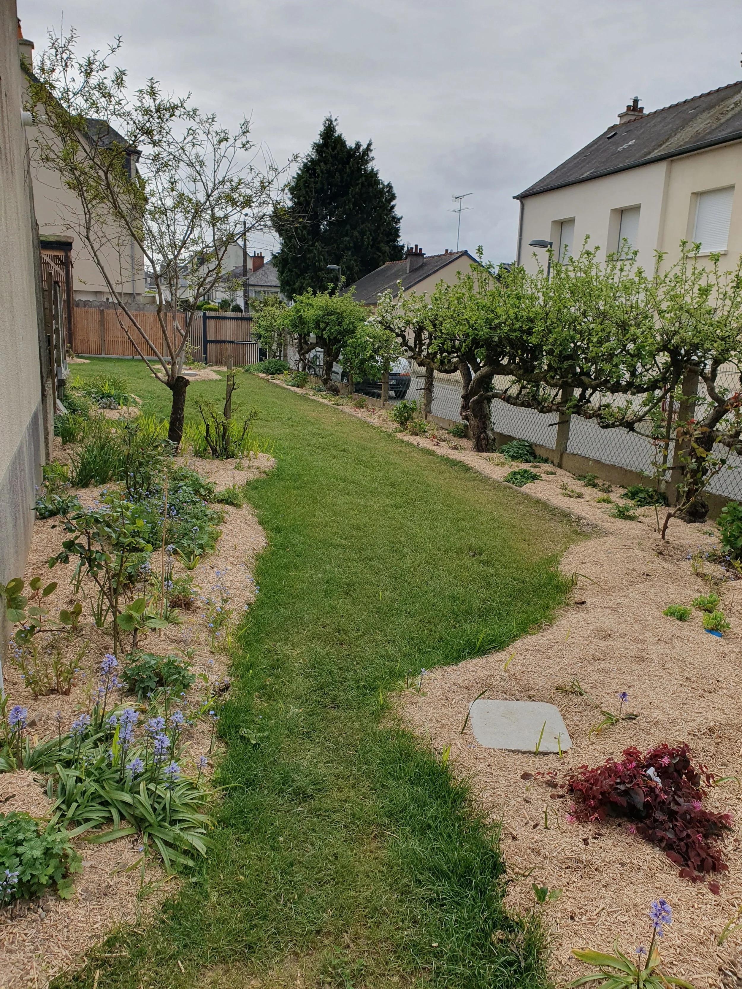 Jardin_nourricier_vitré_après