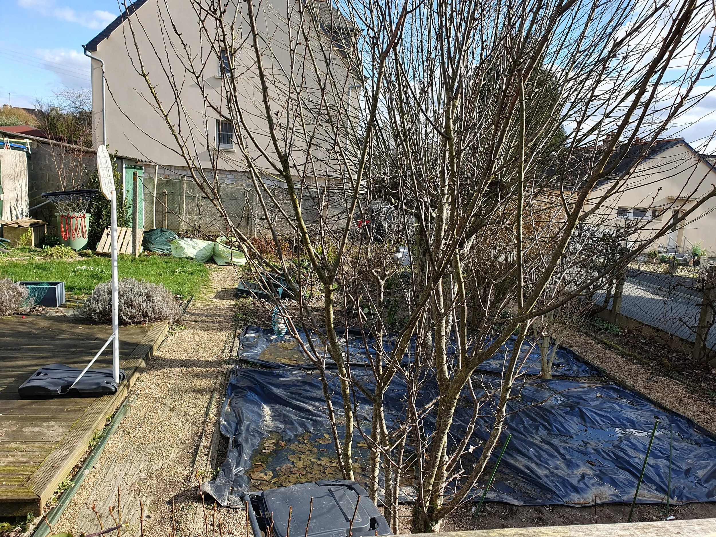 Jardin_nourricier_Vitré_centre_avant