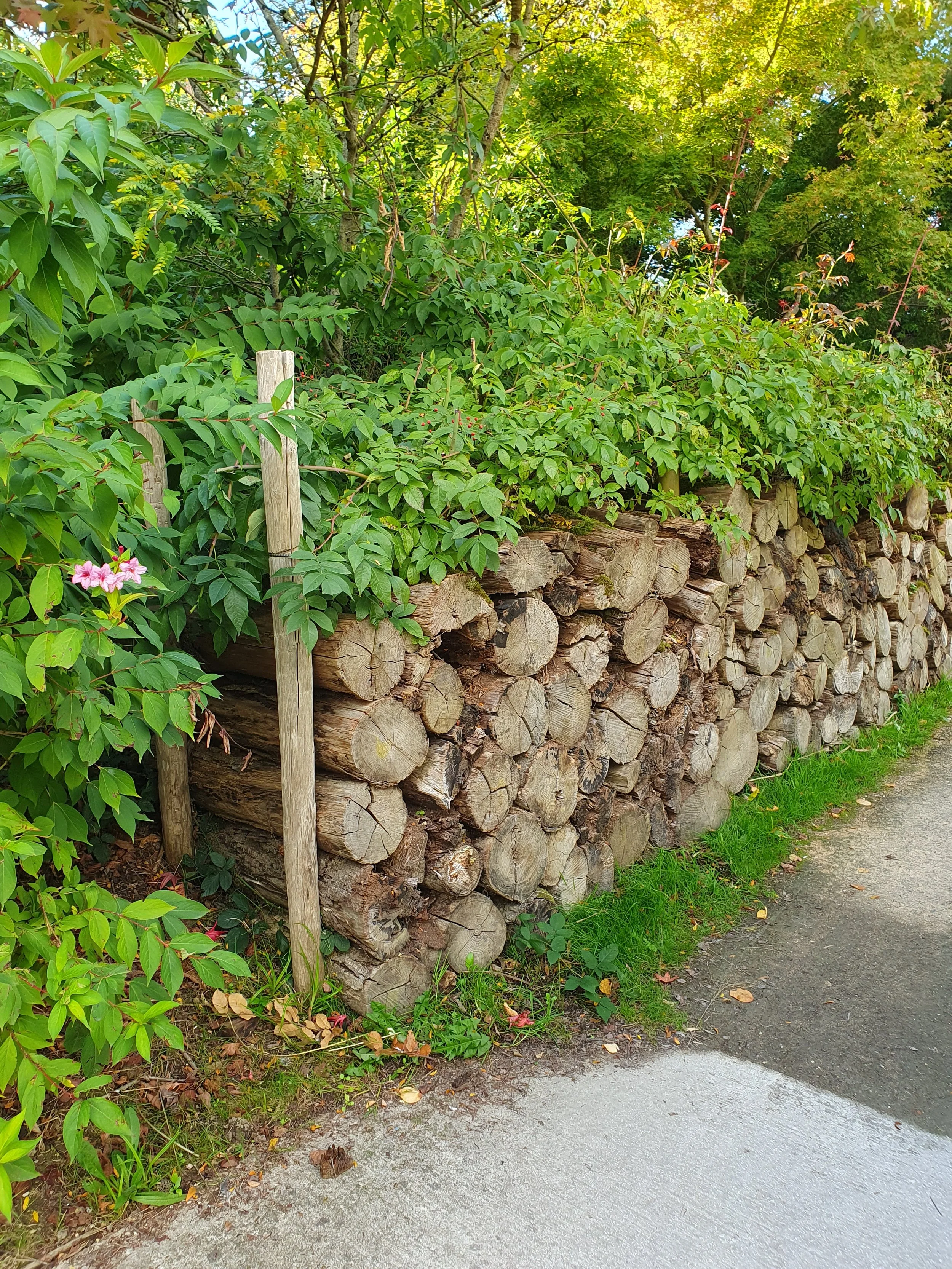 Un jardin refuge biodiversité à Vitré