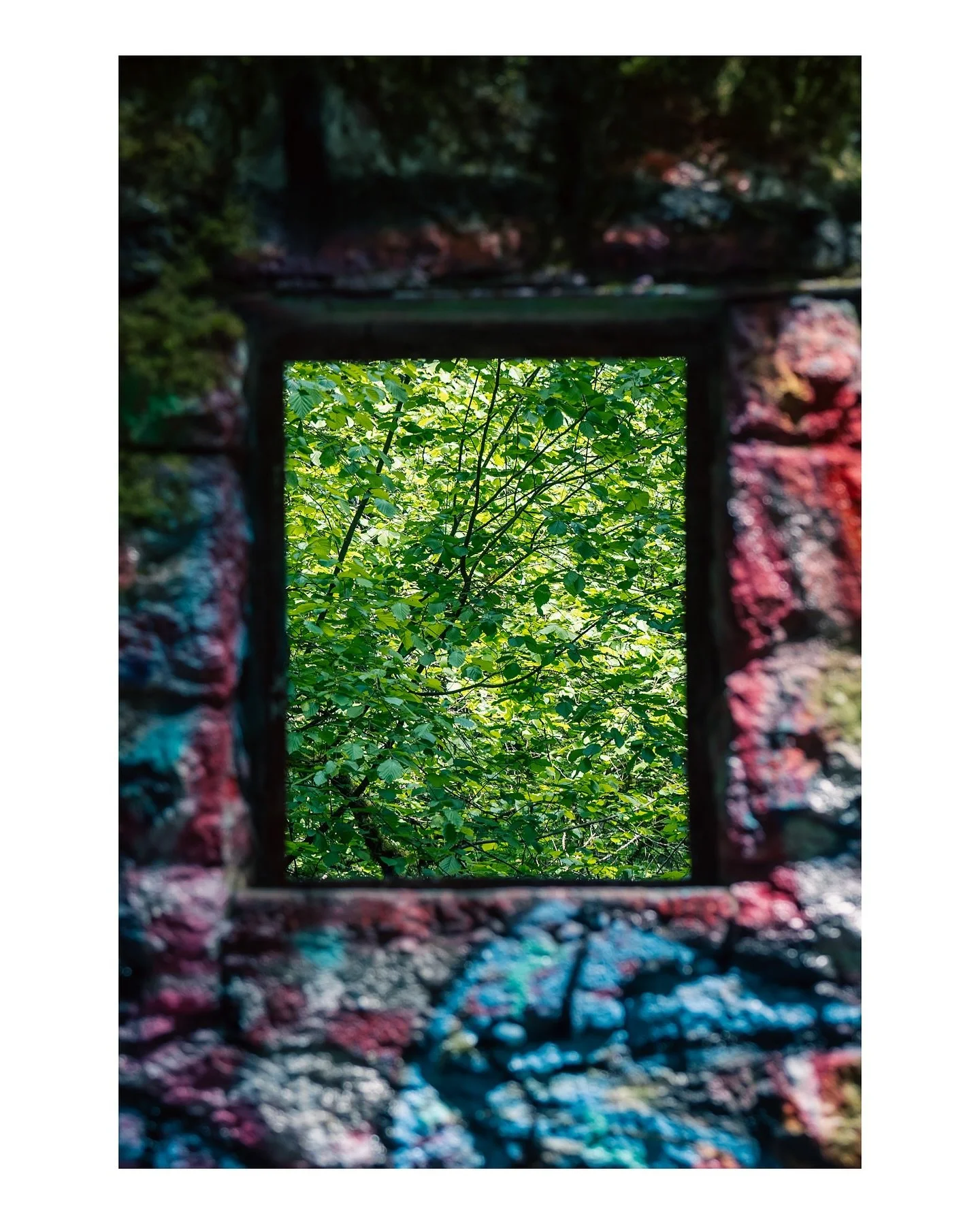 into another world.
#nature #explore #wildlife #beach #photo #photographer