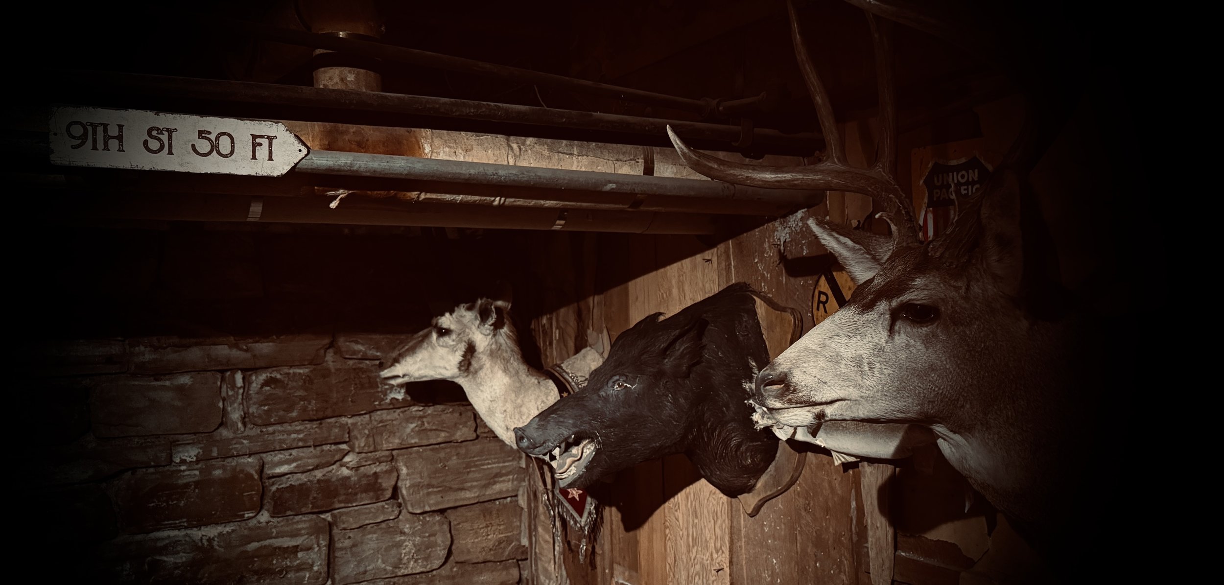 Taxidermy display of four mounted animal heads on a wooden wall, including a deer, a black wolf, and a goat, in a rustic setting with a colonial-style sign reading '9th St 50 Ft' and an American flag in the background.