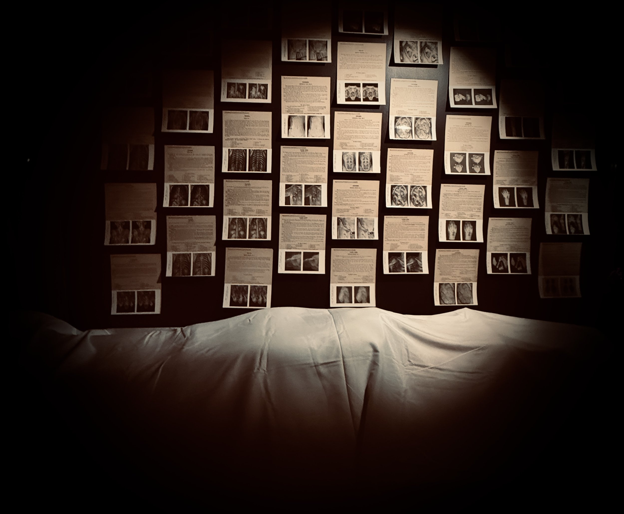 A bulletin board with numerous papers and images, illuminated by a bulb, on a dark background.