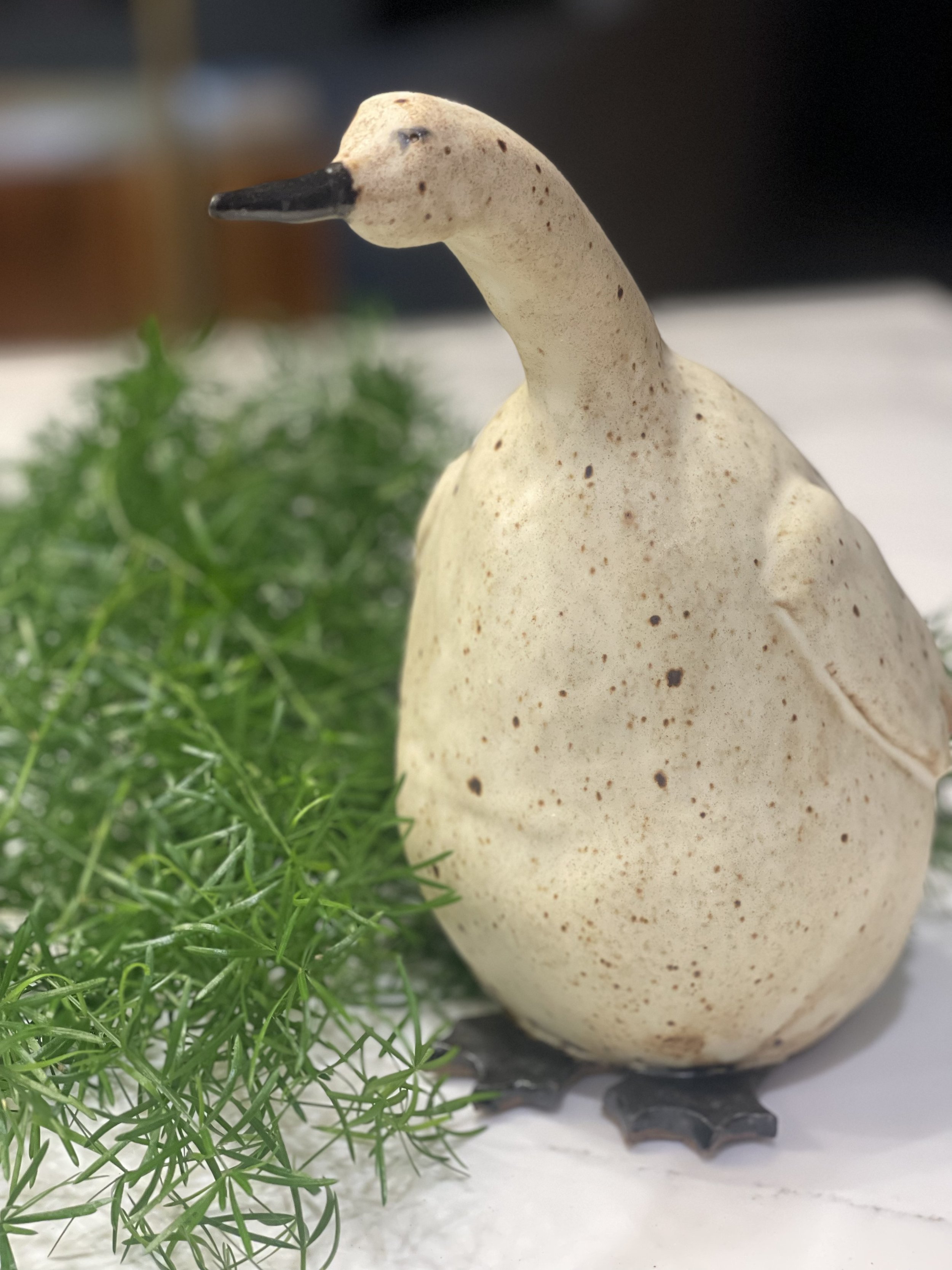 Sitting Duck